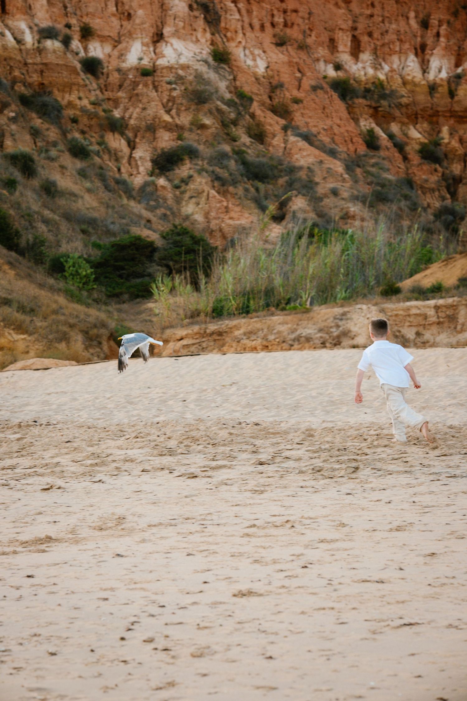 Child running after a bird on the beach with red cliffs on the background