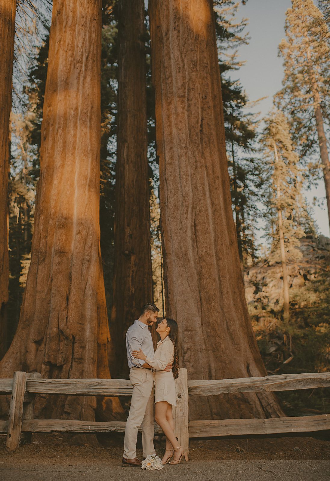 engagement session at sequoia national park, California with trees portraits