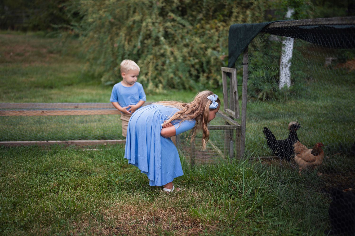 Farm milestone session at local farm with siblings watching chickens, playful outdoor family photography.
