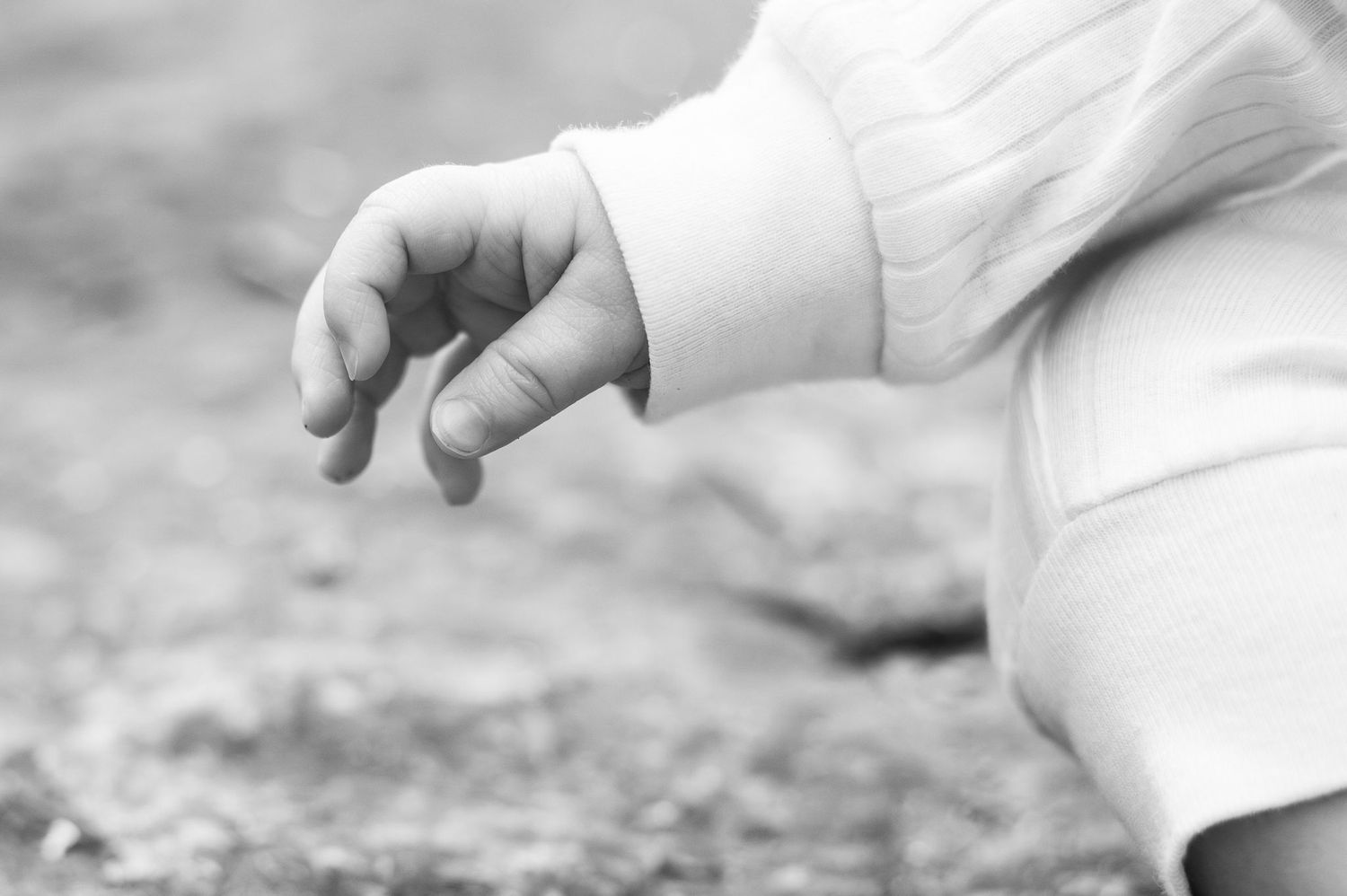 The way a baby’s hand reaches out—tiny and perfect and full of story in just one still moment.