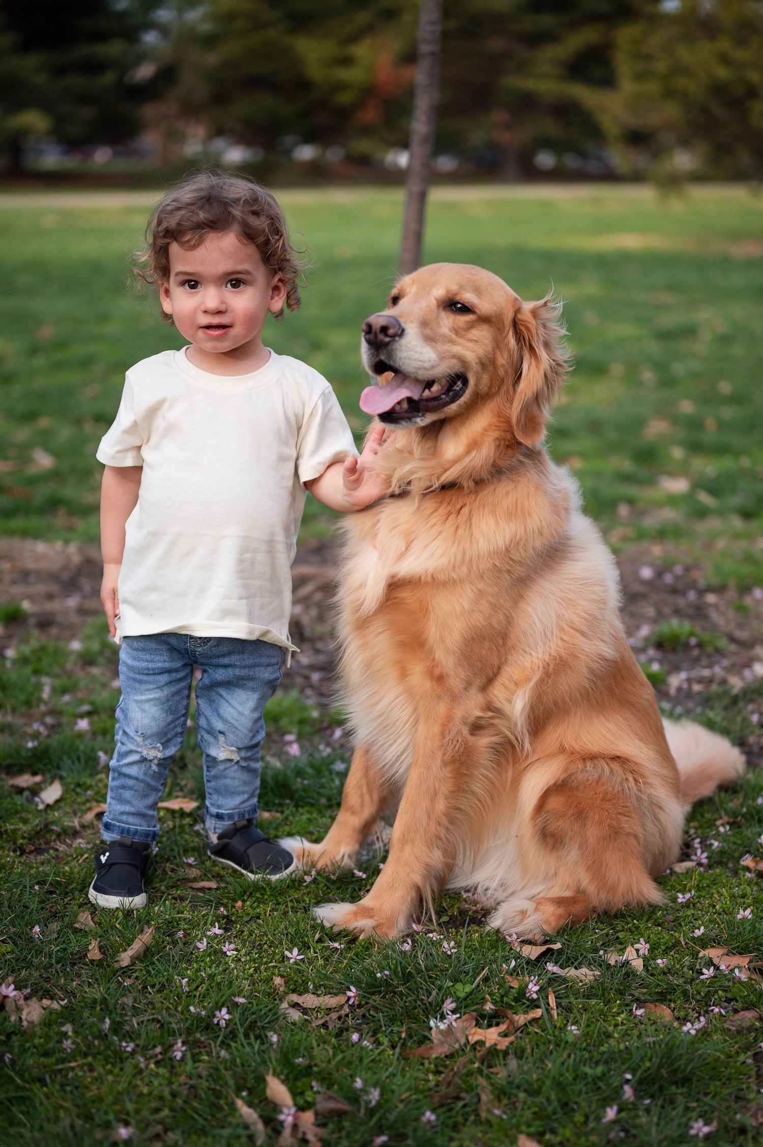 Toddler stands proudly beside golden retriever in the park, both smiling under spring blossoms.