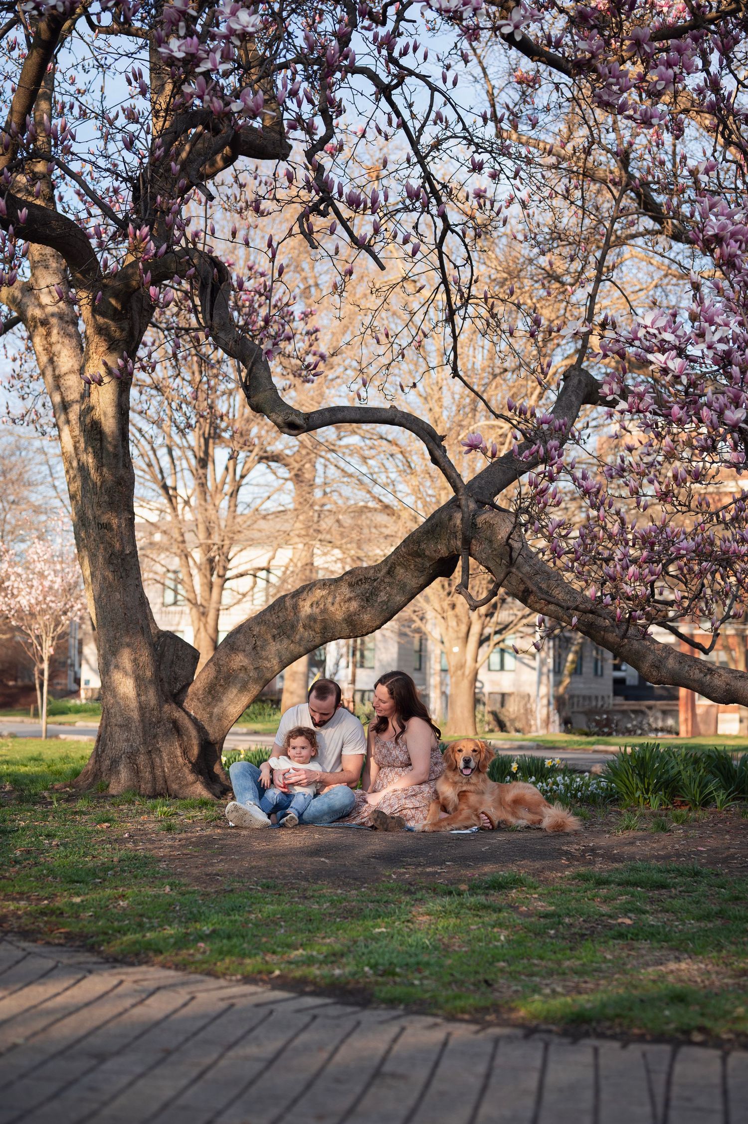 Spring family photo under a blooming magnolia tree with golden retriever lying nearby — relaxed outdoor session in Columbus.