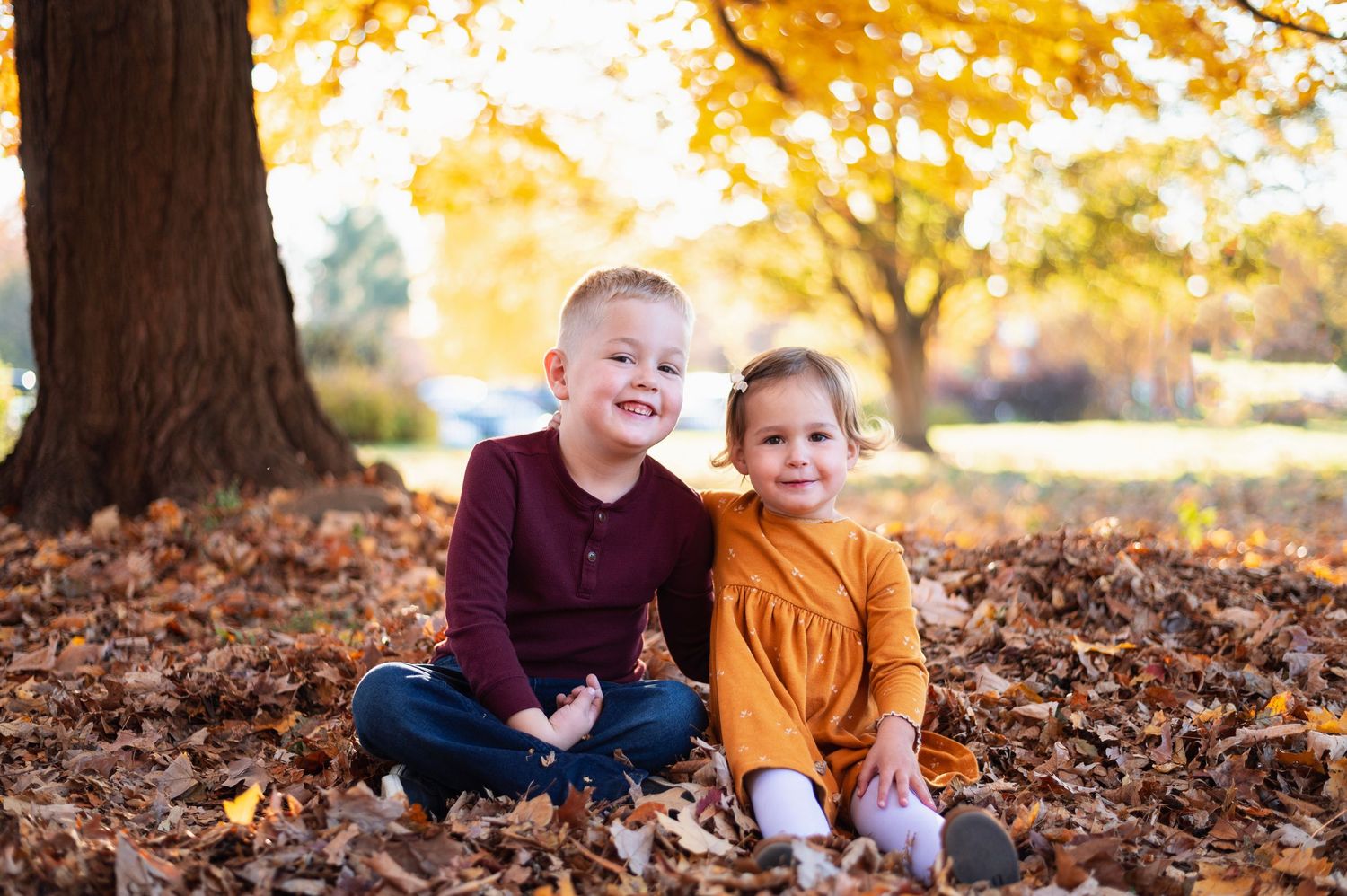 Young siblings sitting in a pile of autumn leaves, smiling at the camera under a golden tree. Innis Woods Metro Garden