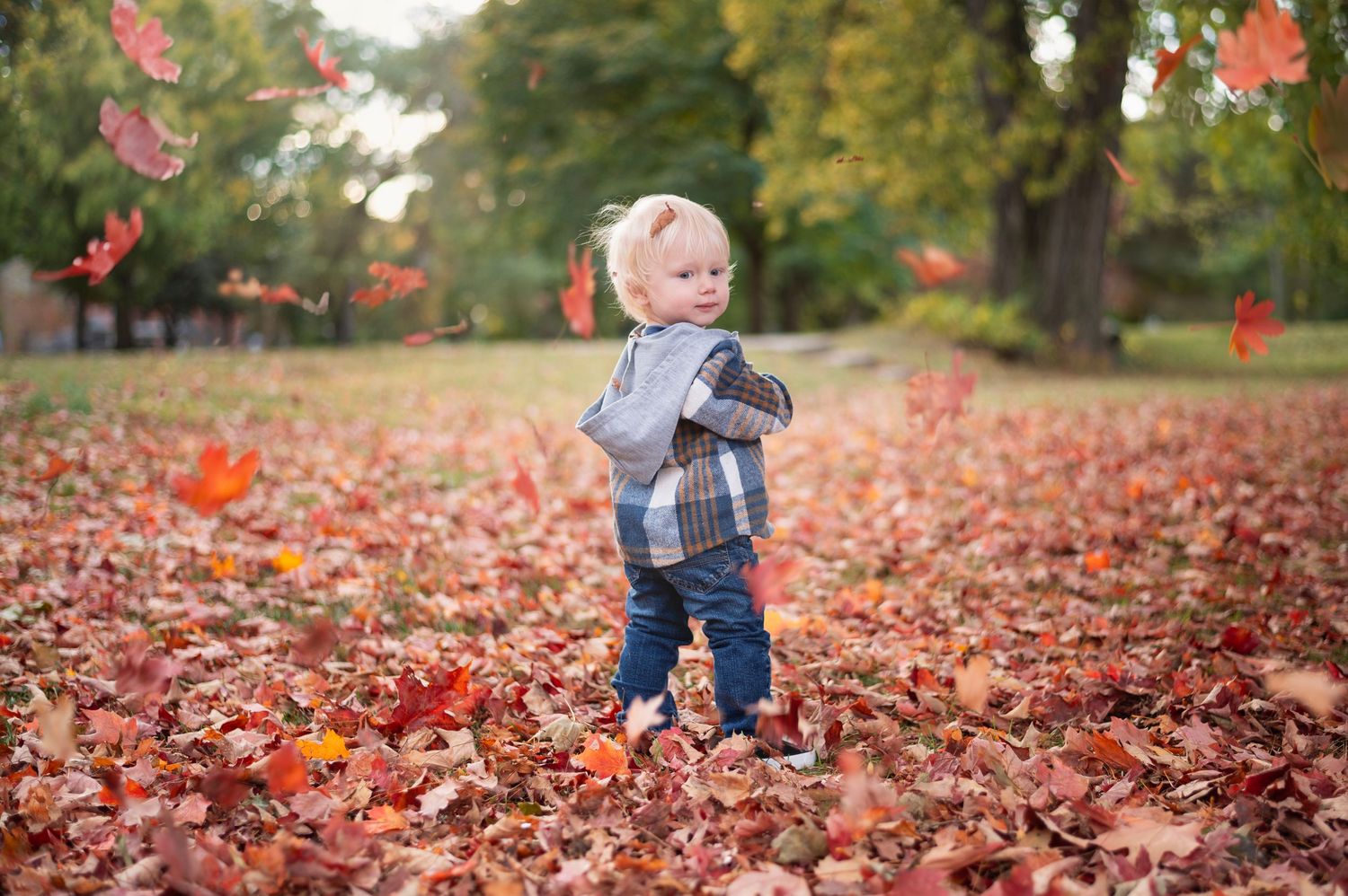 Toddler standing in a pile of red and orange leaves, looking back over their shoulder as leaves fall around them. Goodale Park