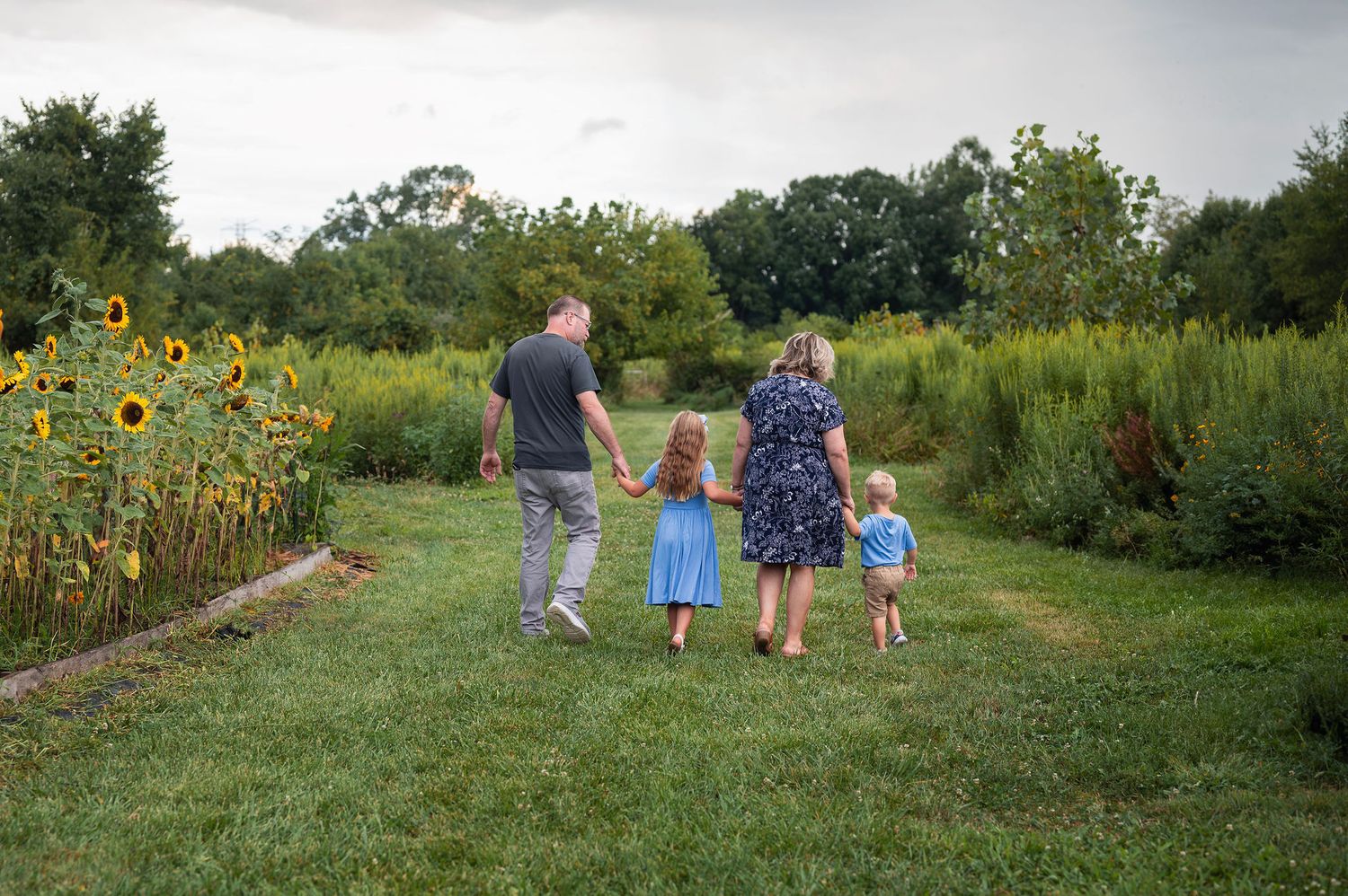 Family of four walks hand-in-hand past sunflowers near Westerville during a joyful, child-led outdoor family photo session.