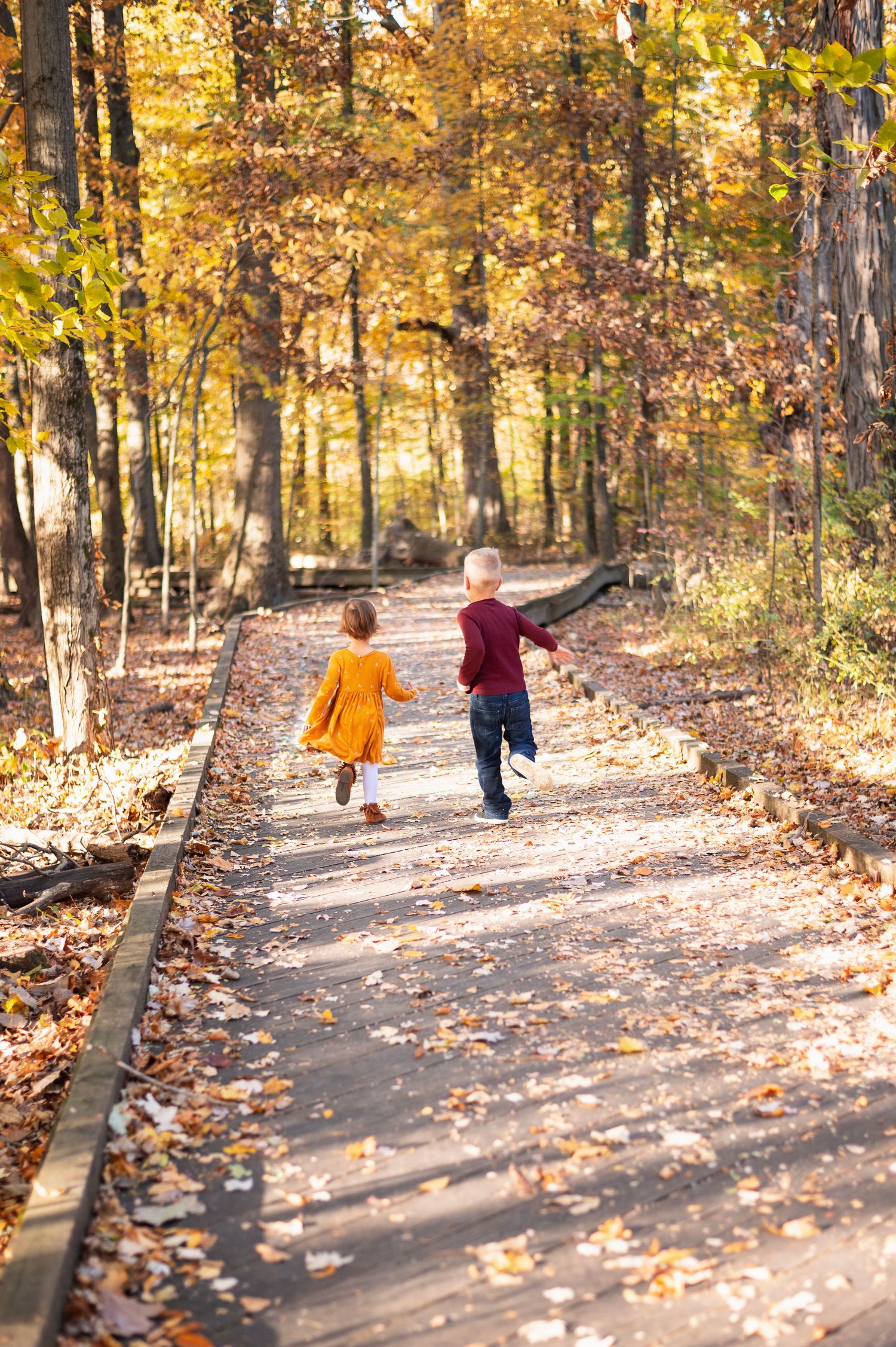 Two young children running down a leaf-covered boardwalk surrounded by golden autumn trees. Innis Woods Metro Garden