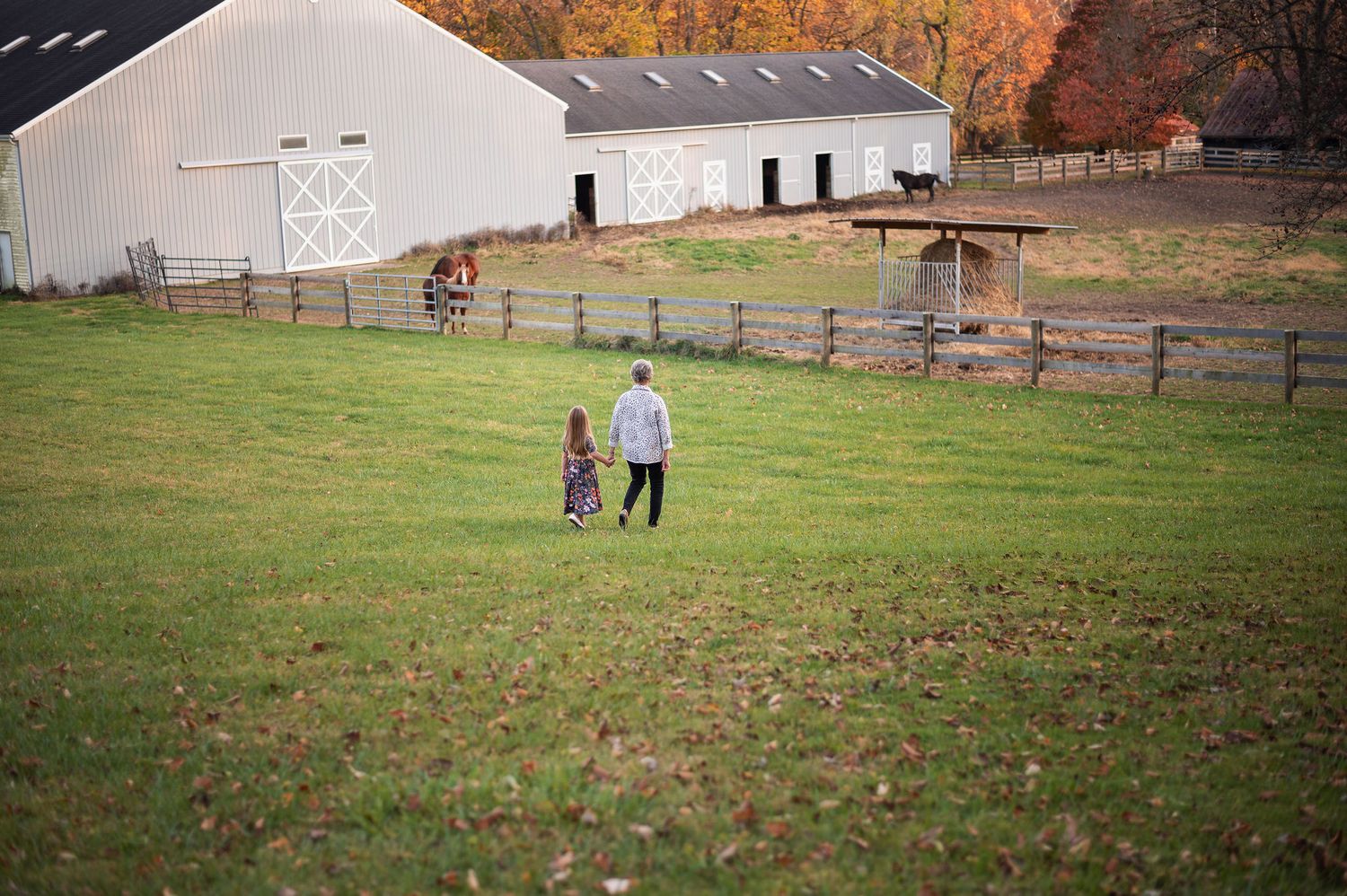 Fall colors and family bonds  during a Westerville family photo session—grandma and granddaughter walking toward the horses.