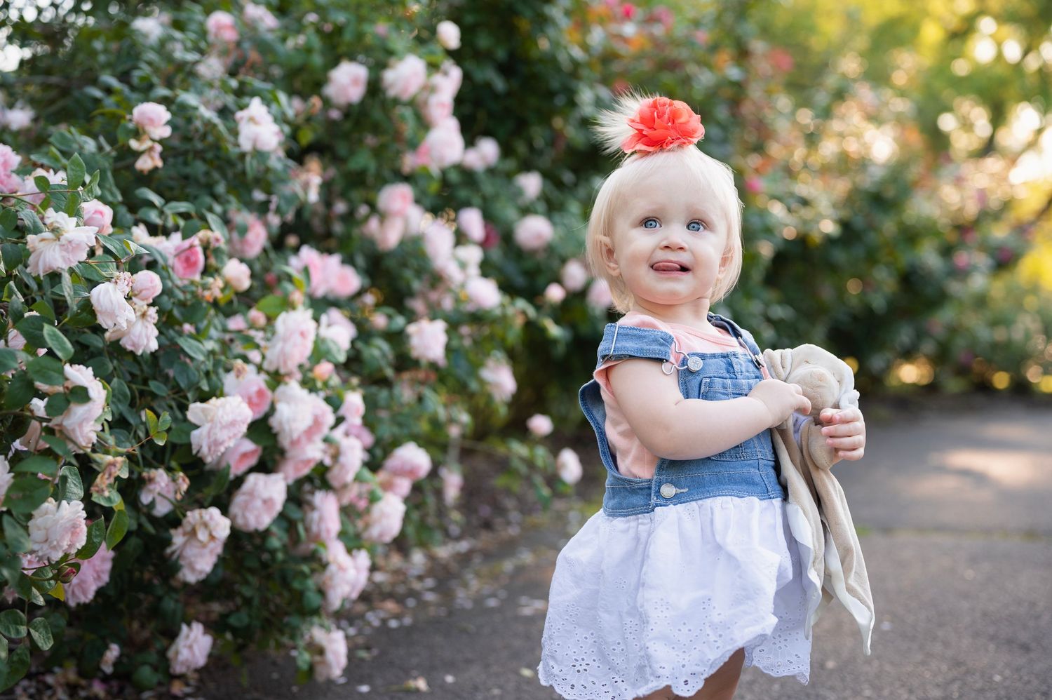 Blonde toddler in overalls and a coral bow smiles sweetly in front of a blooming rose bush.