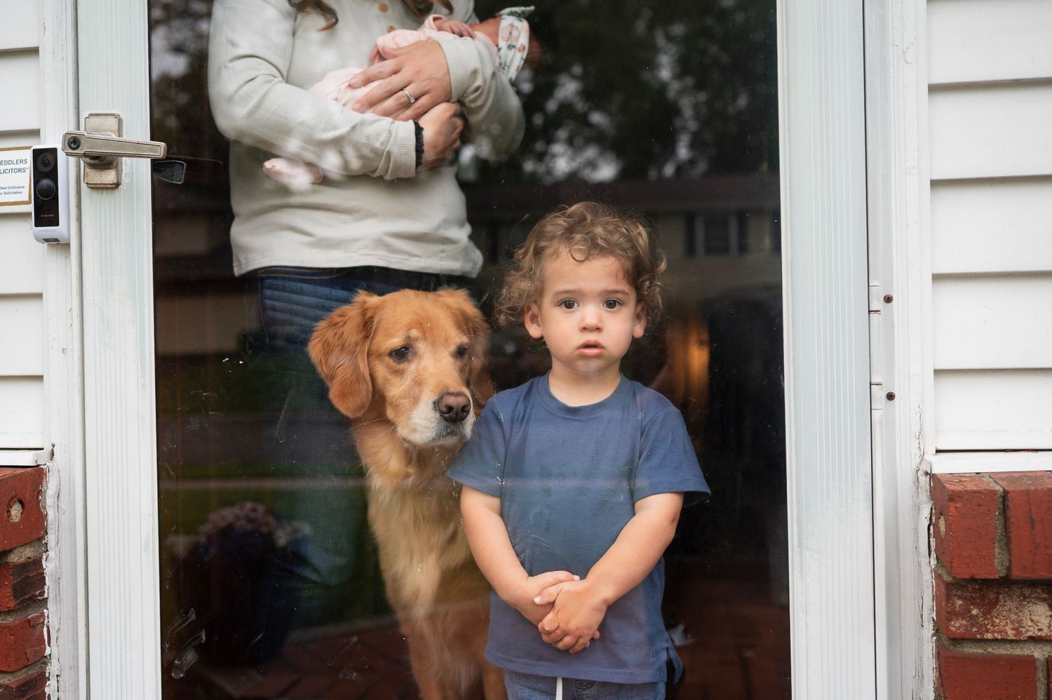 Lifestyle family photo of toddler and golden retriever looking out the window as mom holds newborn inside.