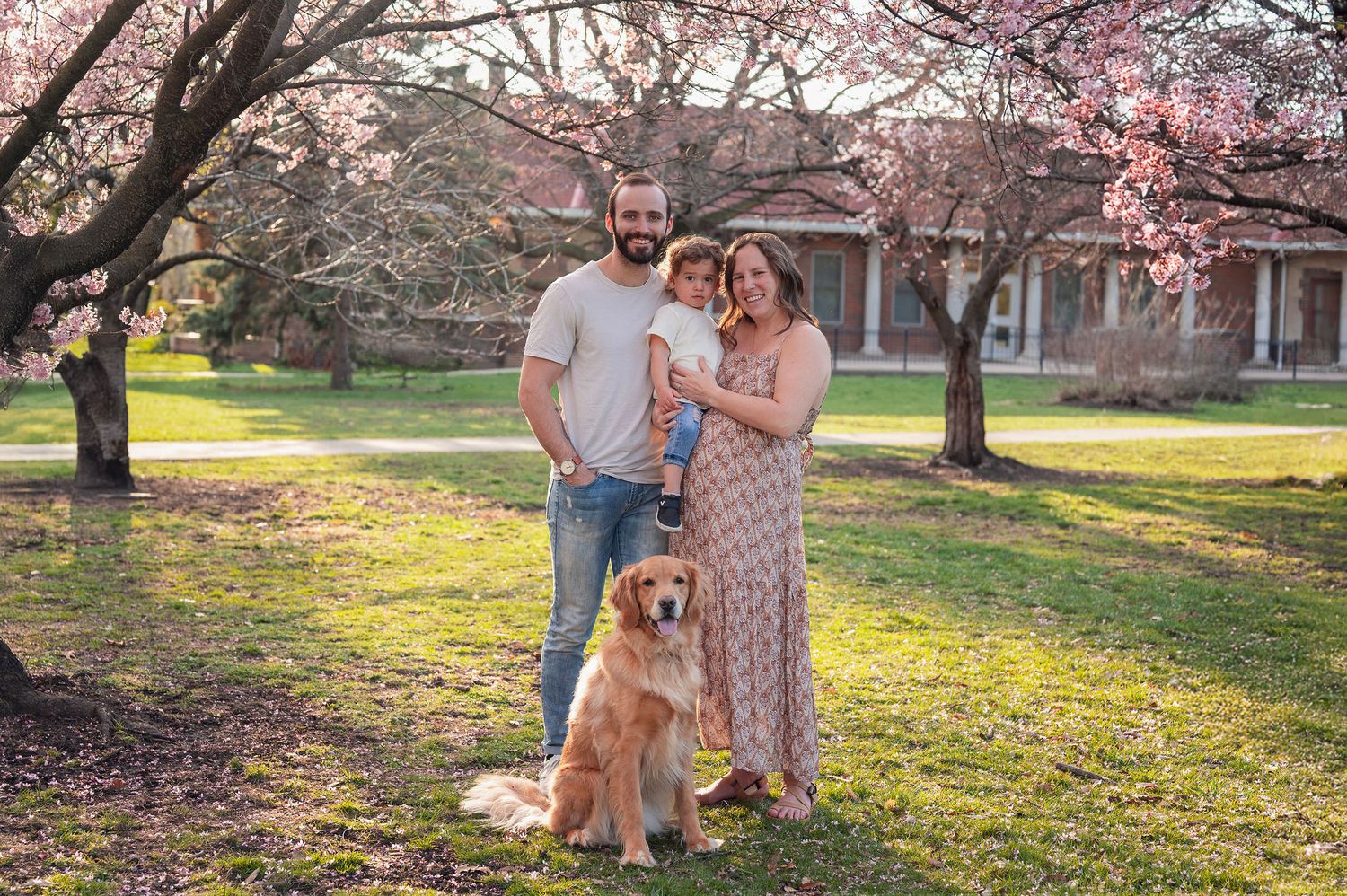 Family of three and their golden retriever posing under cherry blossoms during a spring mini session at Goodale Park.