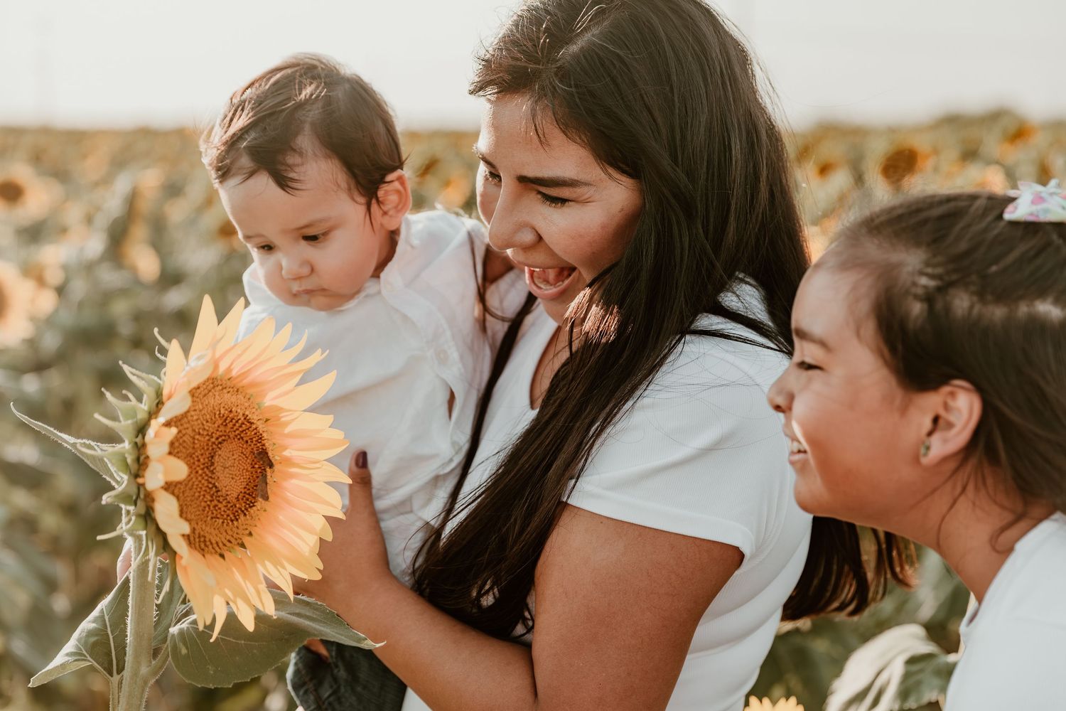 People admiring a tall sunflower together in a sunny flower field during golden hour.