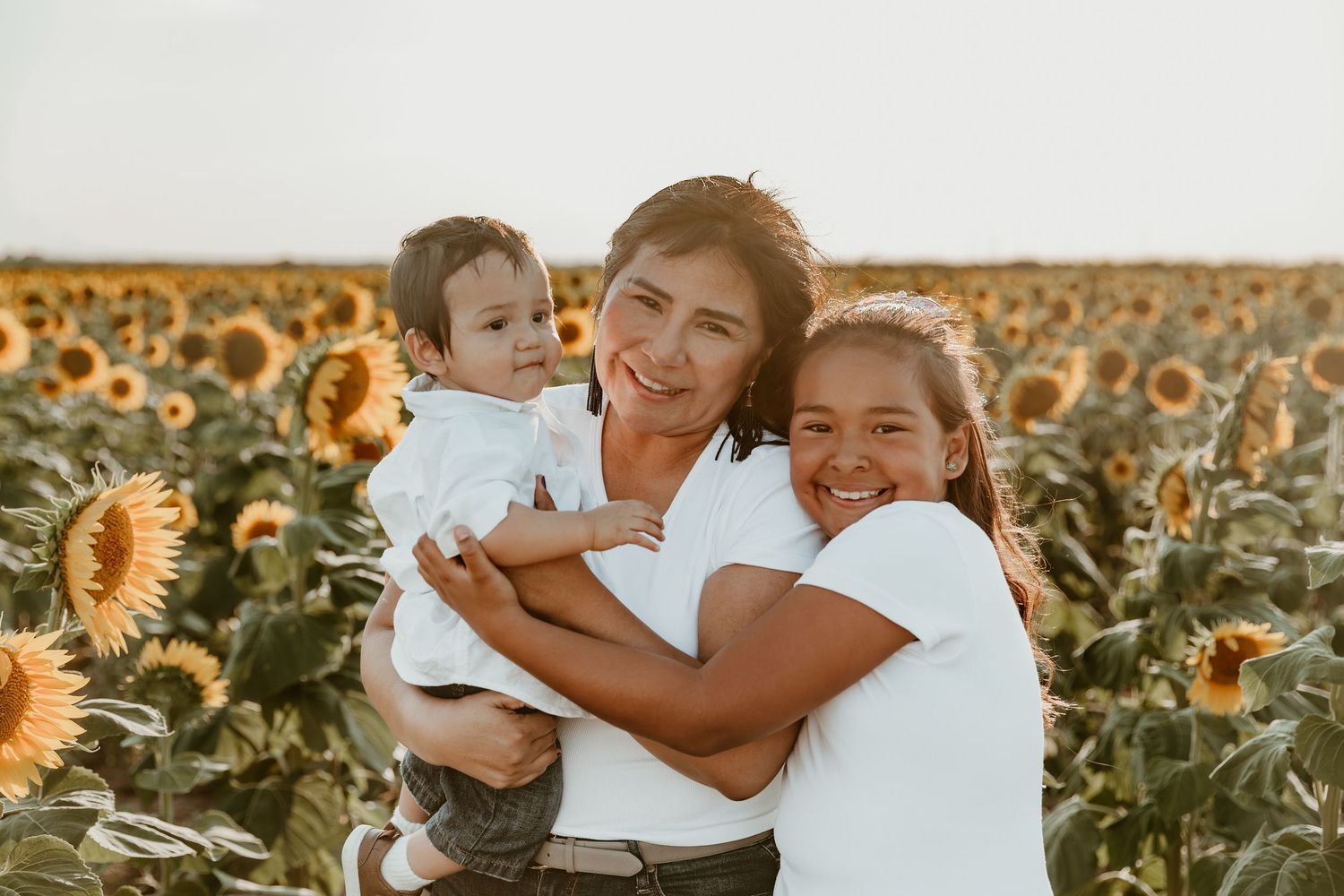 A happy couple embraces in a golden sunflower field during sunset, surrounded by blooming yellow flowers.