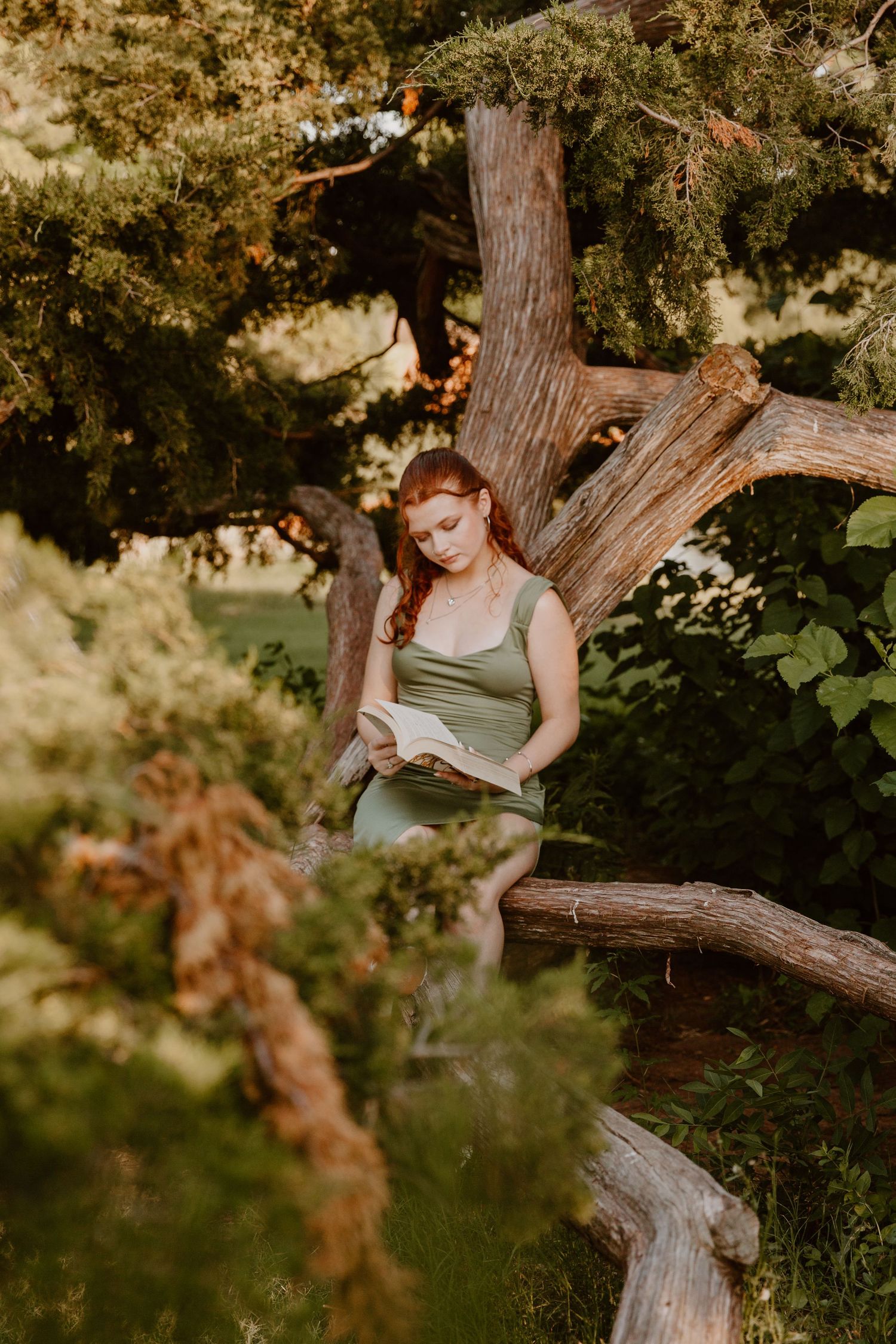 Four serene nature portraits show someone reading and relaxing on a fallen tree trunk in a lush garden setting during summer.