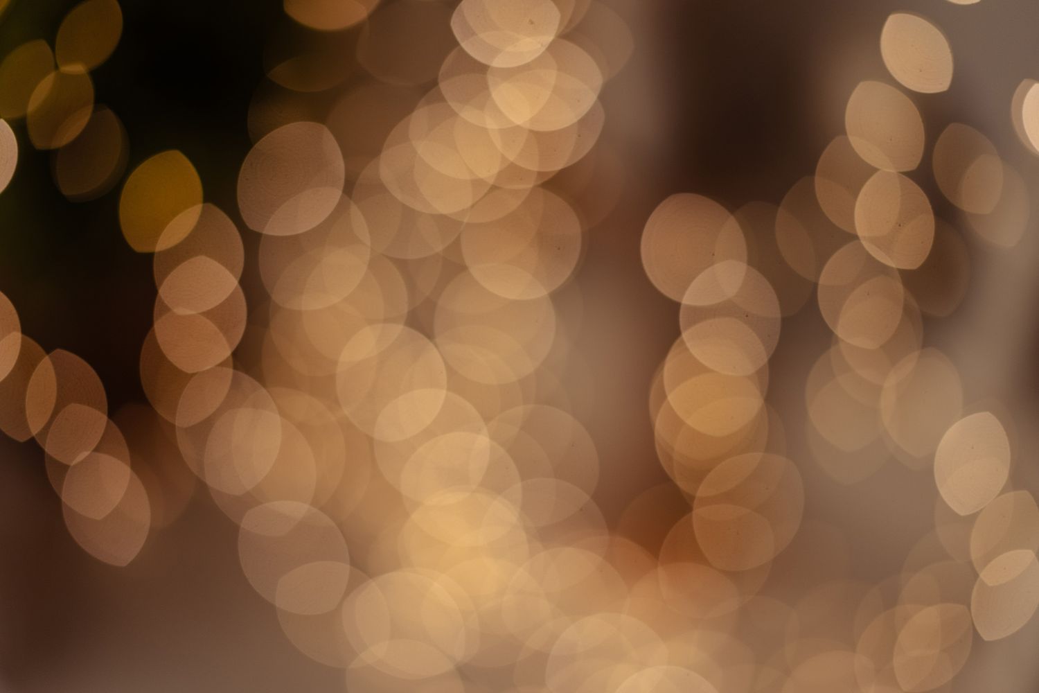 Soft golden bokeh lights create a dreamy blurred background effect with circular out of focus highlights.