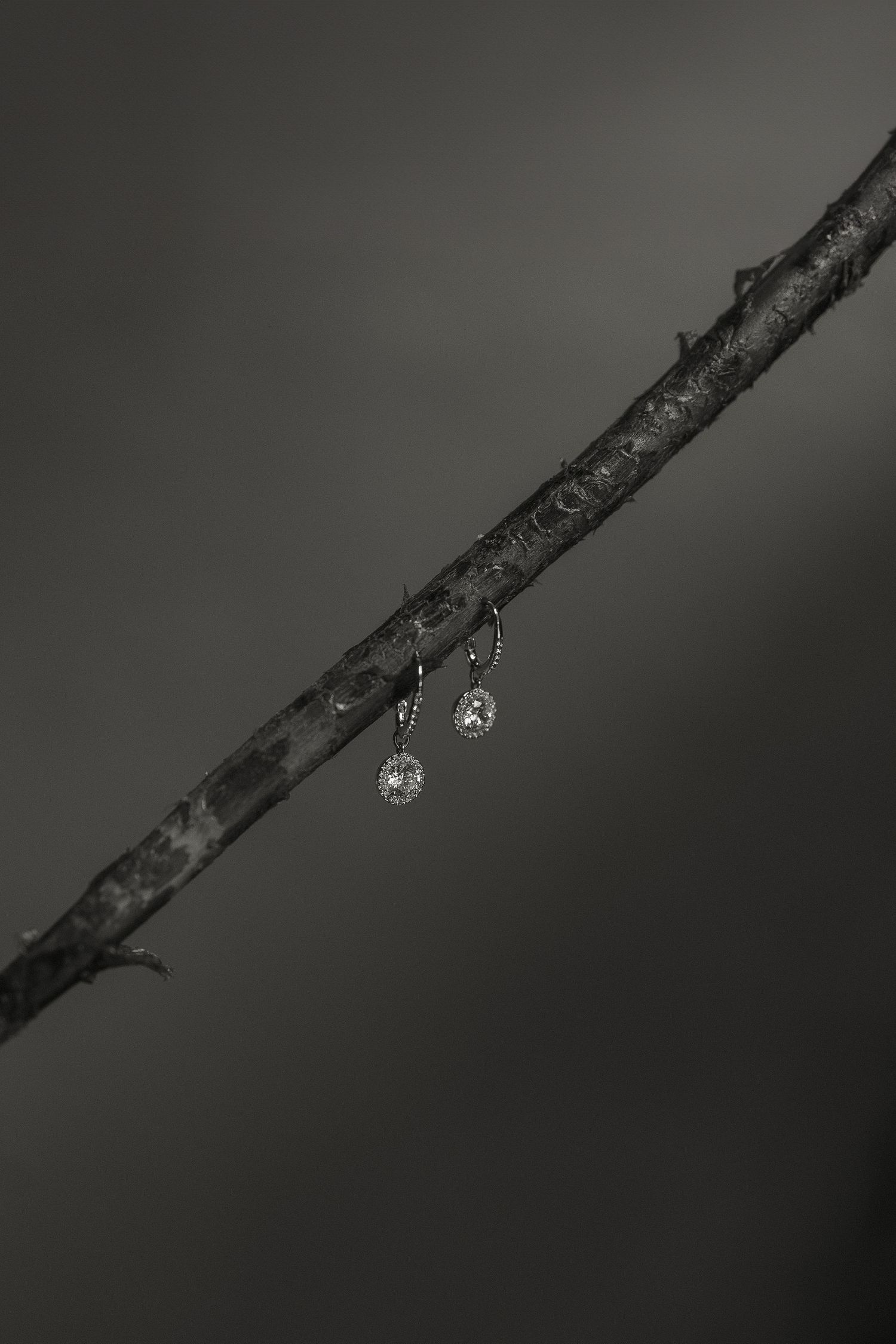 Black and white macro photograph of water droplets hanging from a dark branch against a blurred background.