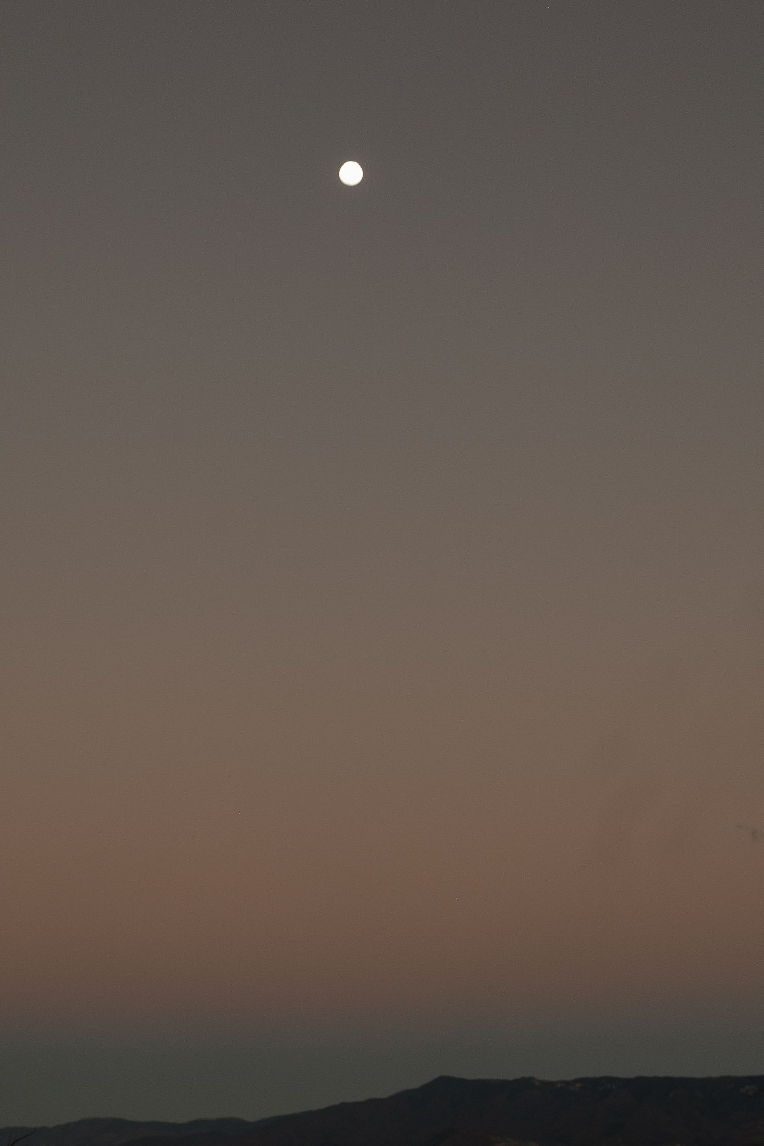 Full moon rises over dark mountain silhouette at dusk with pink and purple hues in the sky.