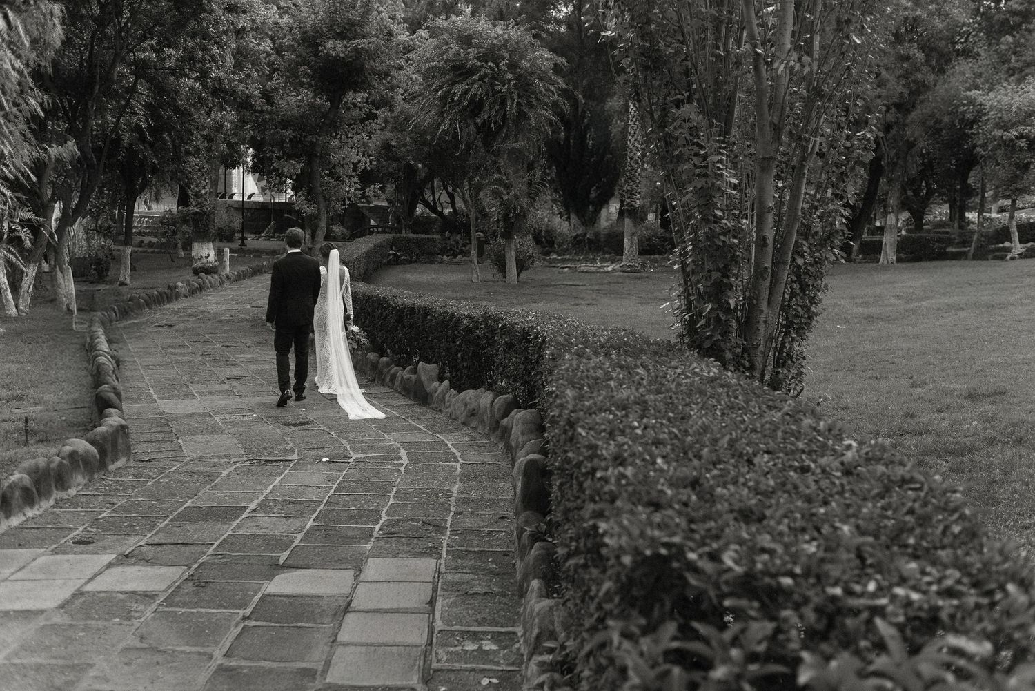 A couple in wedding attire walk along a stone path bordered by manicured hedges and trees in a black and white photo.