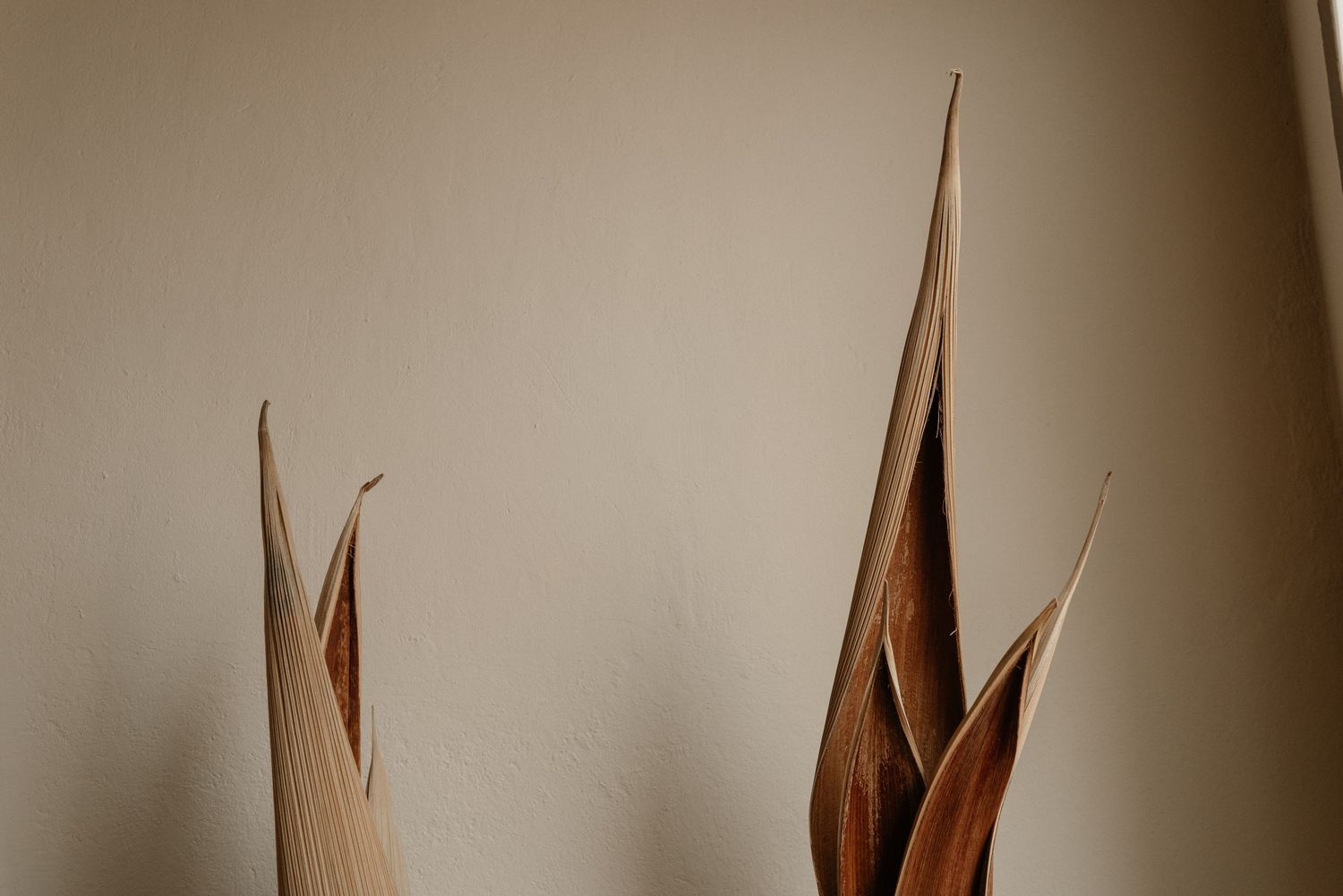Sharp brown dried palm fronds against a soft beige background creating minimalist natural art composition.