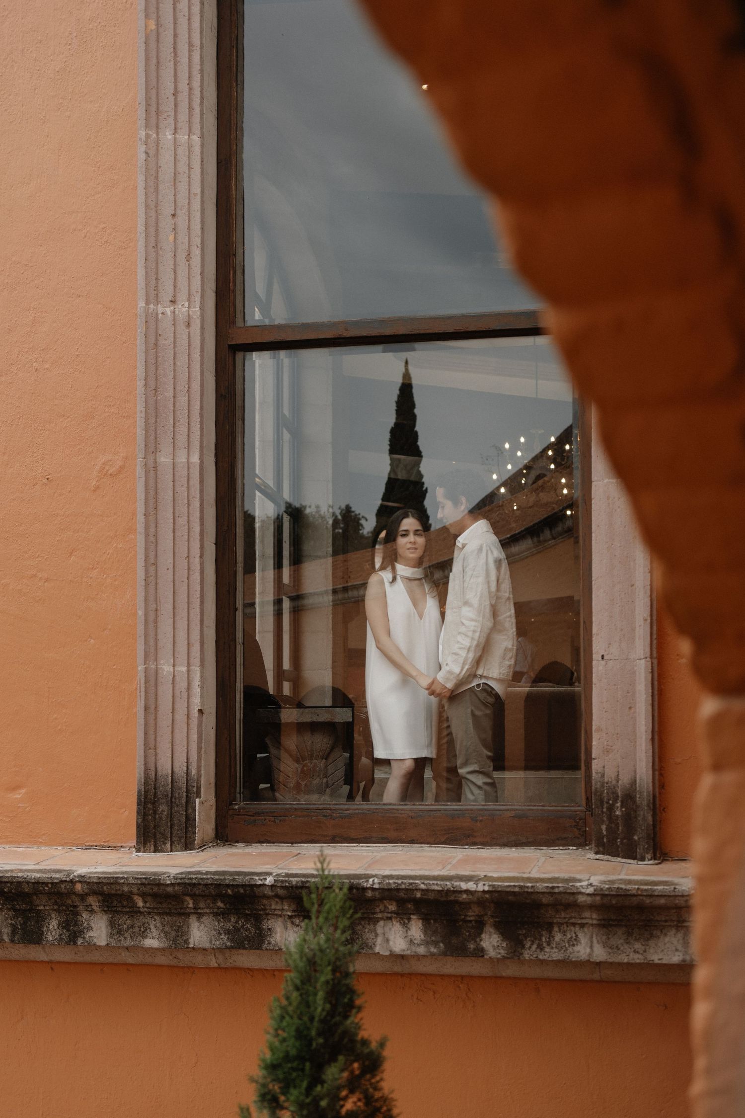 Wedding dresses displayed in a window with peach colored walls and small evergreen shrubs below.