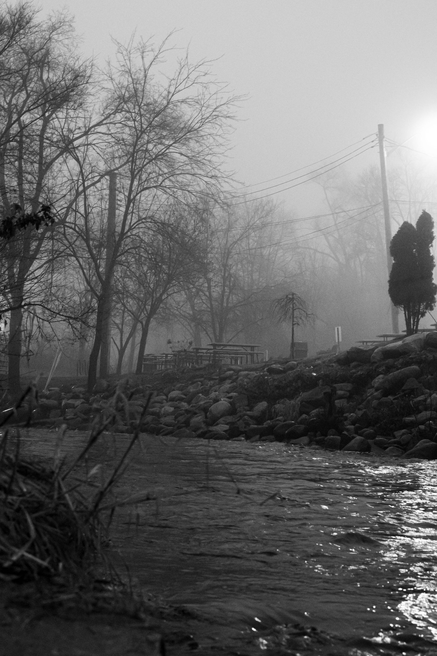 Foggy riverside scene with silhouetted trees and power lines at dusk.