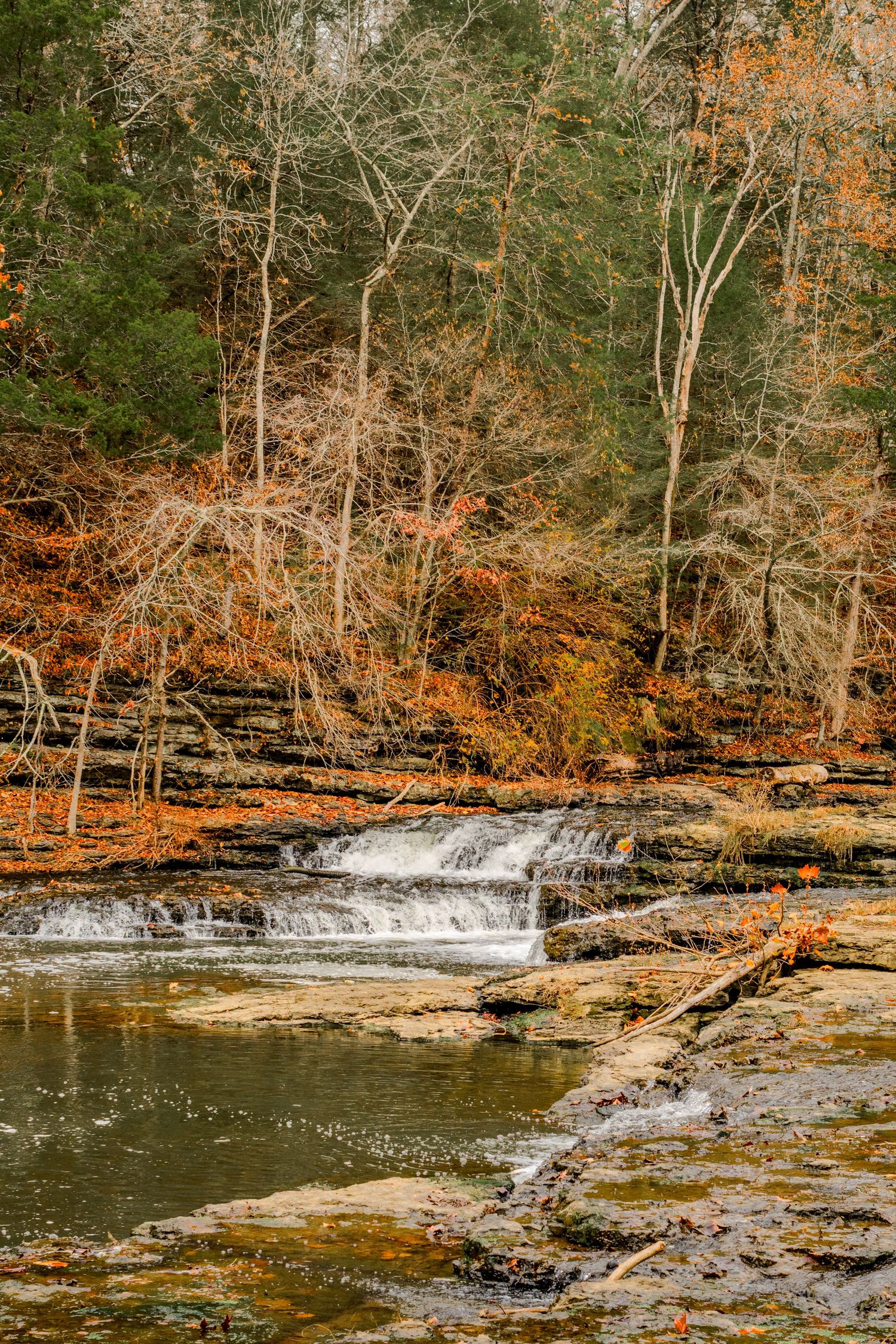 Small cascading waterfall flows over rocky ledges surrounded by fall foliage.