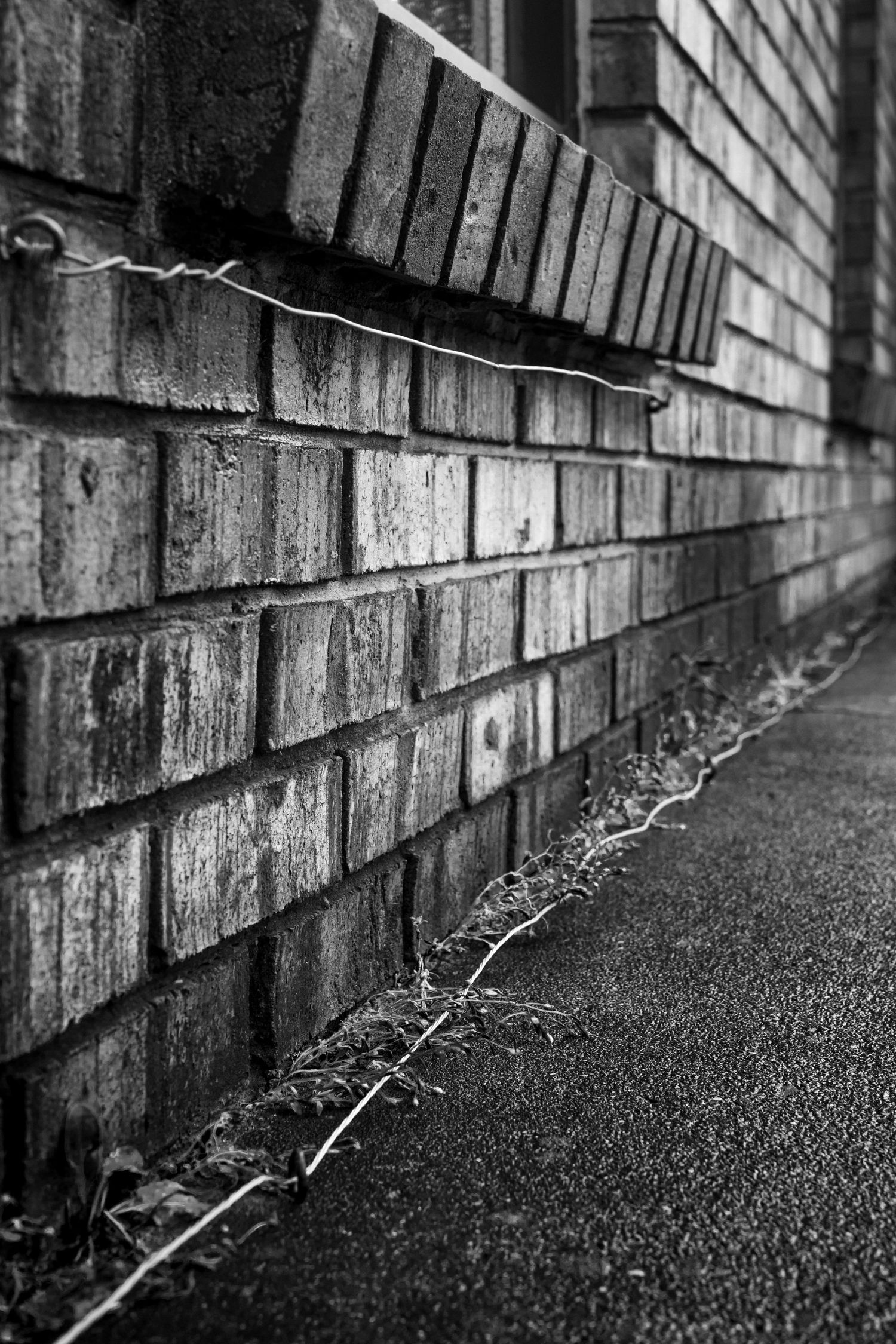 Black and white architectural detail of a weathered brick wall casting shadows along a concrete path.