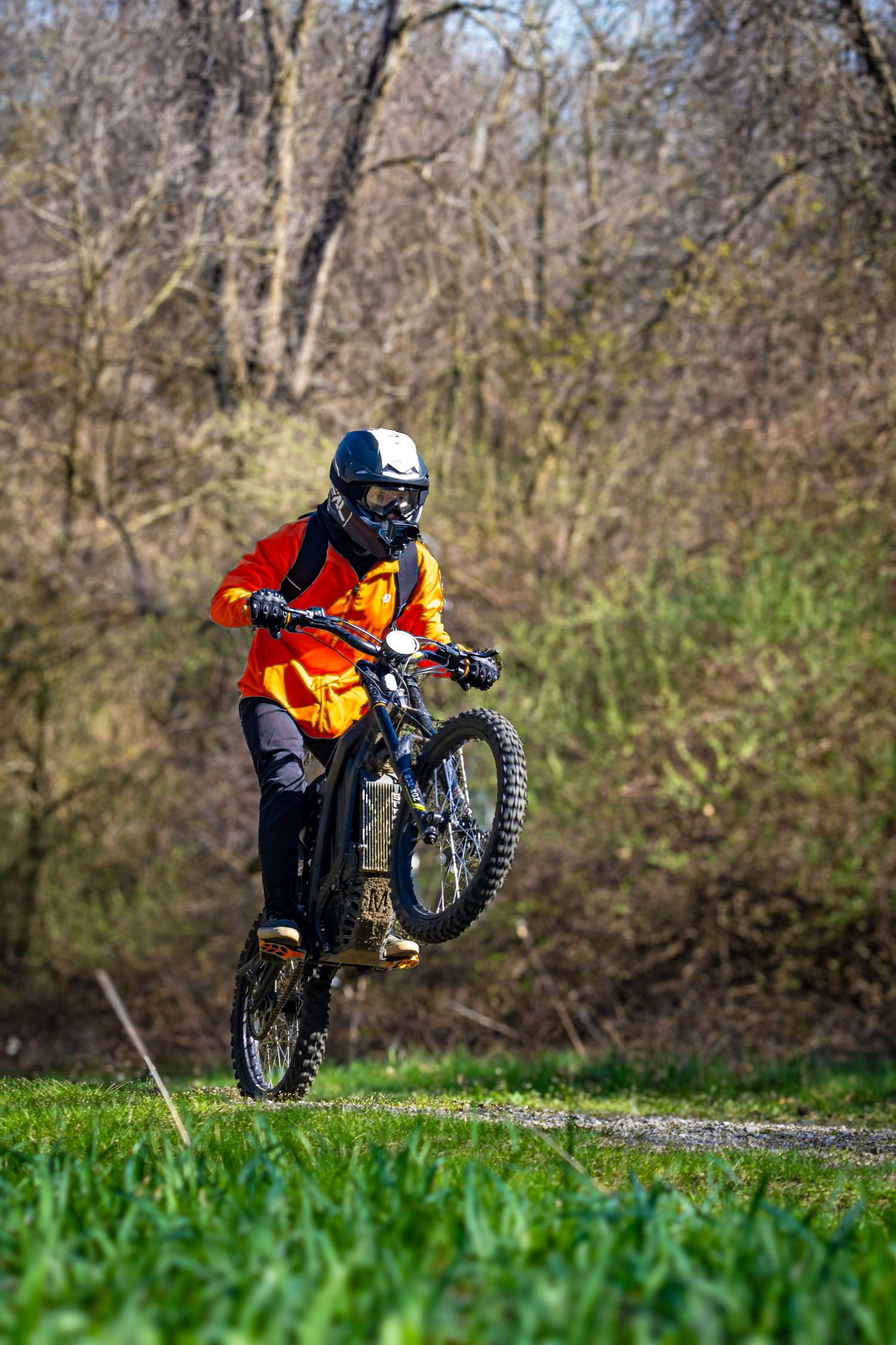 Off-road cyclist performing wheelie on grassy terrain with forest backdrop.