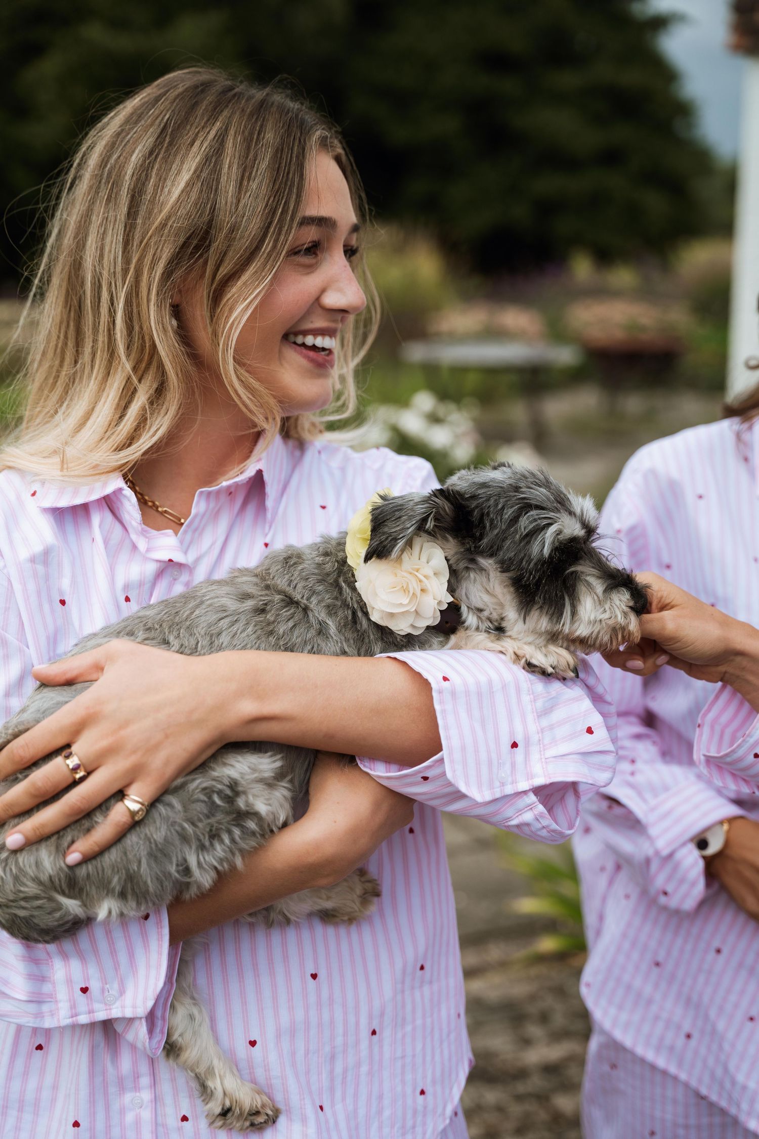 A series of photos showing a gray dog being held playfully in a person's arms wearing a pink striped shirt outdoors.