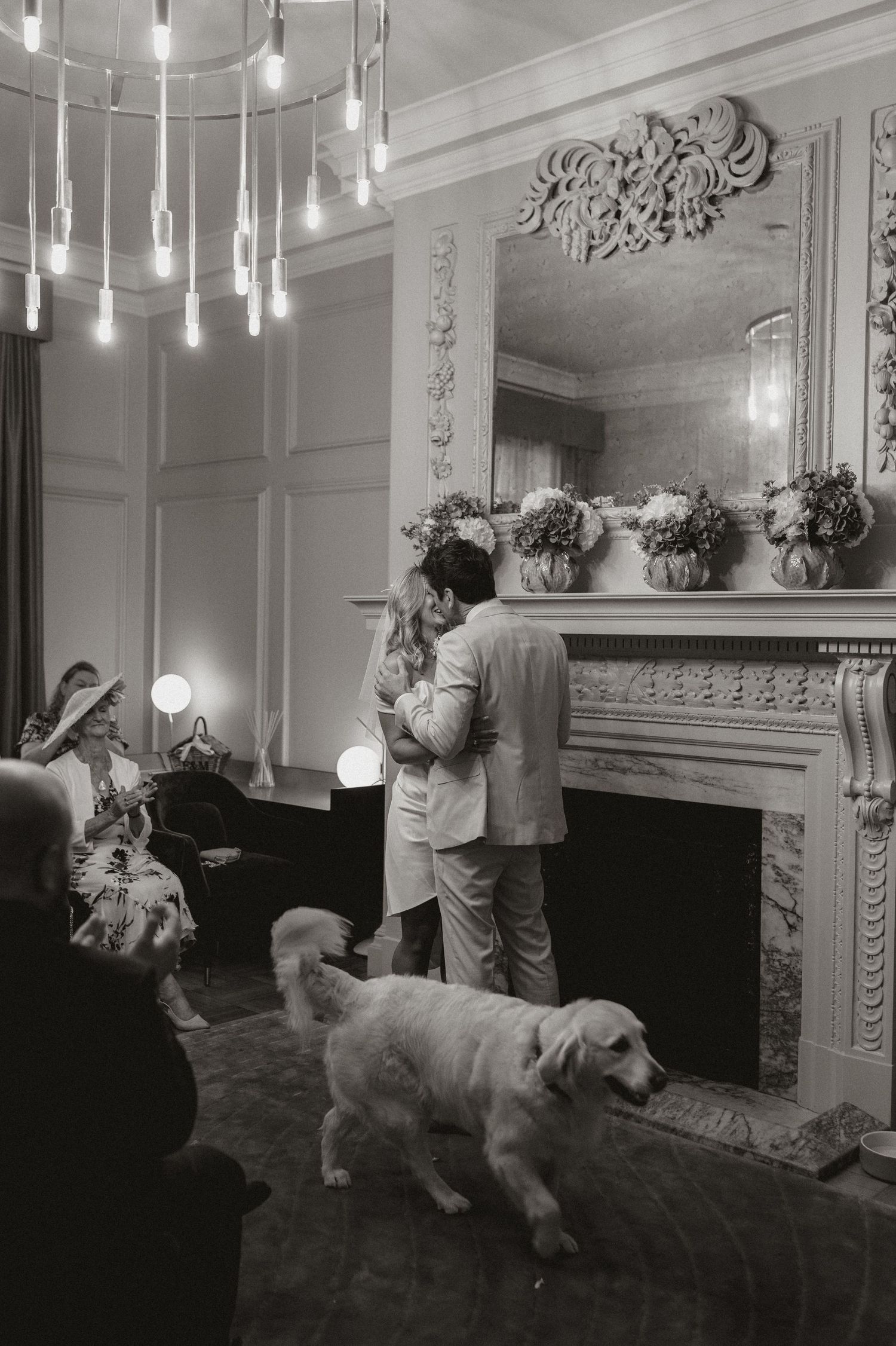 A dog and person interact in an elegant room with ornate moldings and hanging pendant lights.
