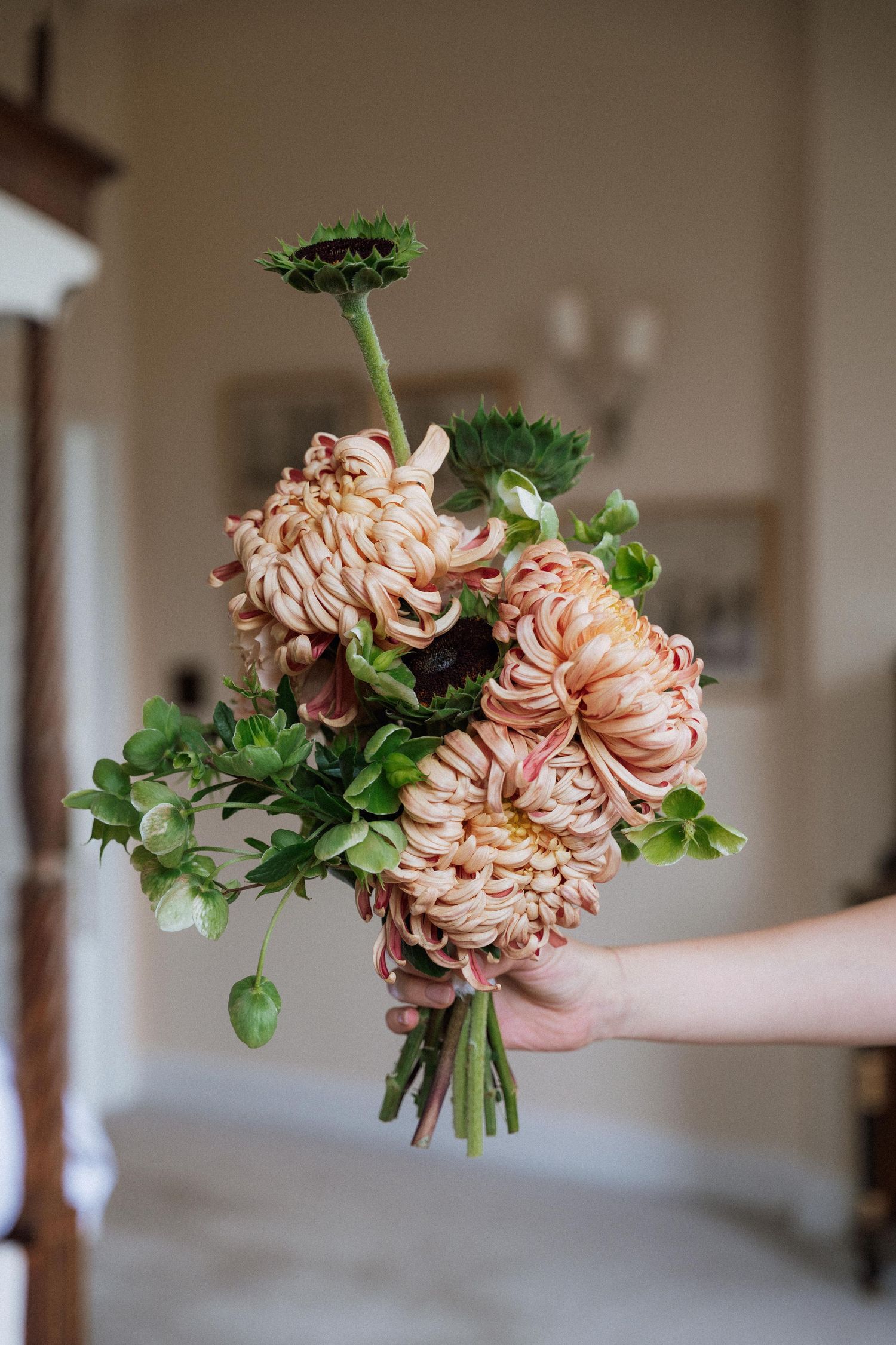 A hand holds a delicate bouquet of peach-colored chrysanthemums with green foliage against a blurred interior background.