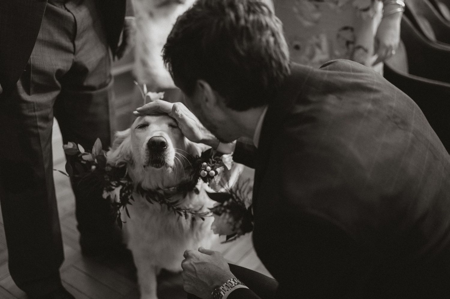 A happy dog wearing a floral wreath gets attention at a gathering in this vintage black and white photograph.