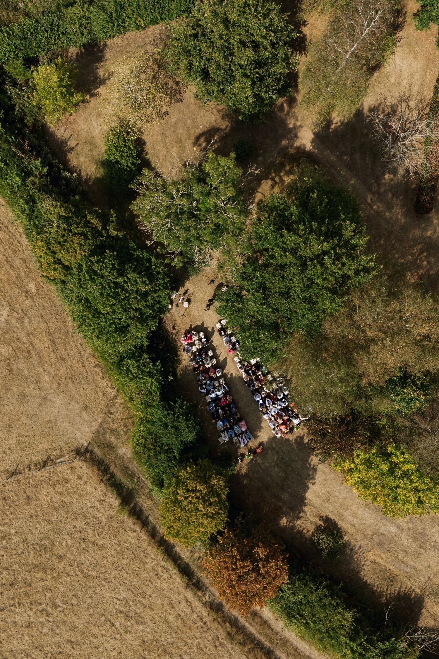 Aerial drone view sequence of people gathering beneath trees in a rural outdoor setting.