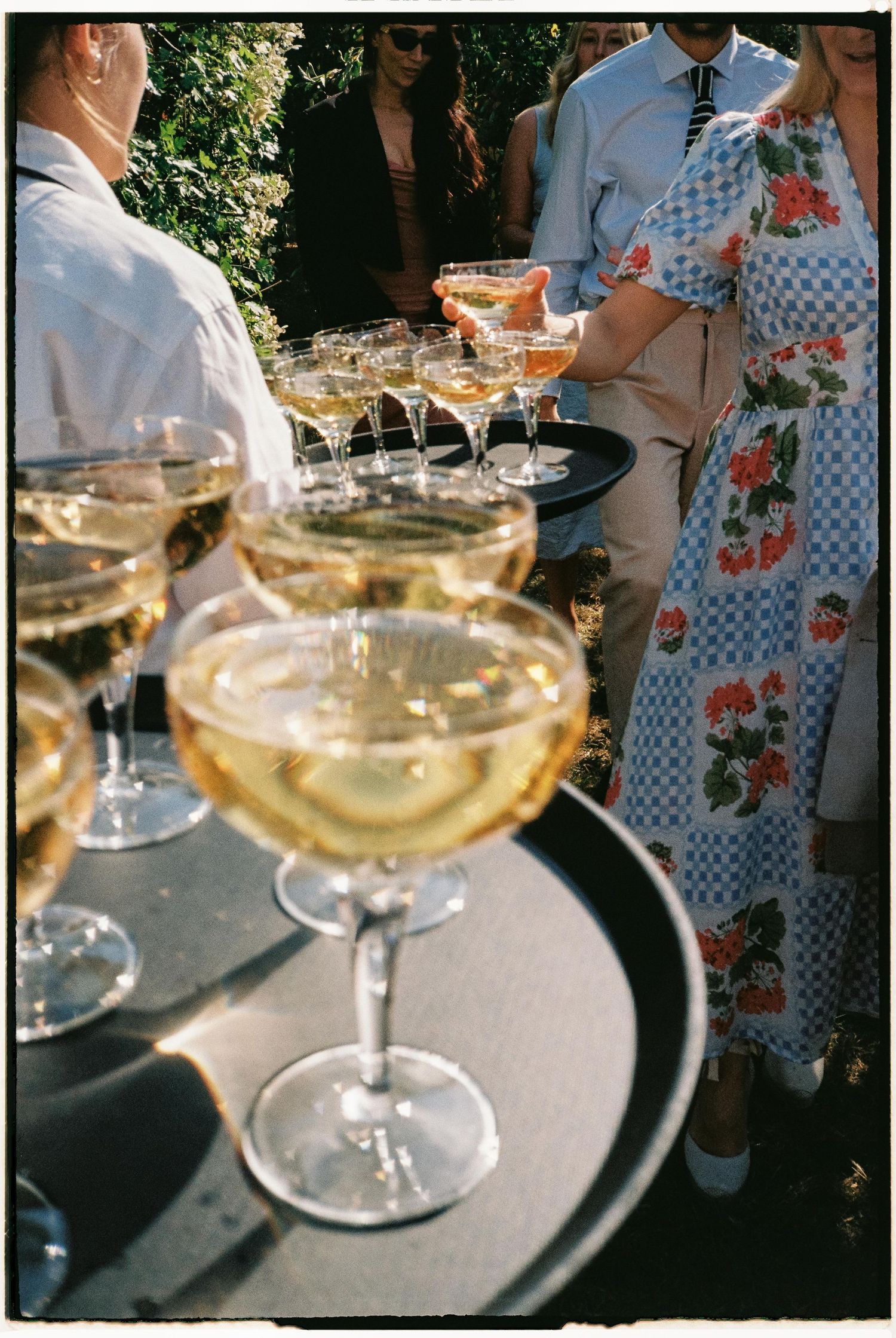 Wine glasses filled with chilled white wine casting shadows in outdoor garden party setting.
