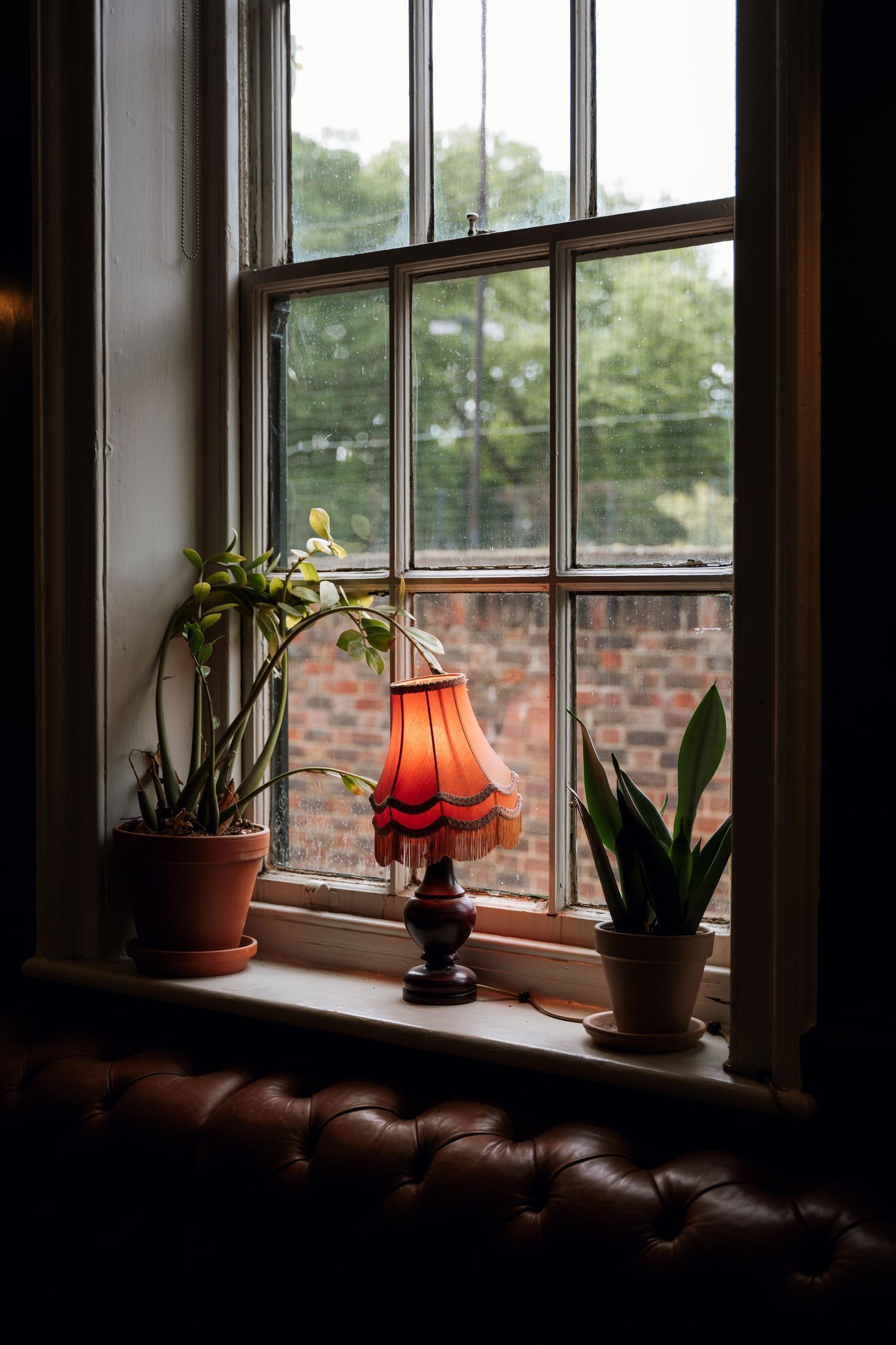 A vintage lamp with red shade sits on a windowsill alongside potted plants in a moody interior setting.