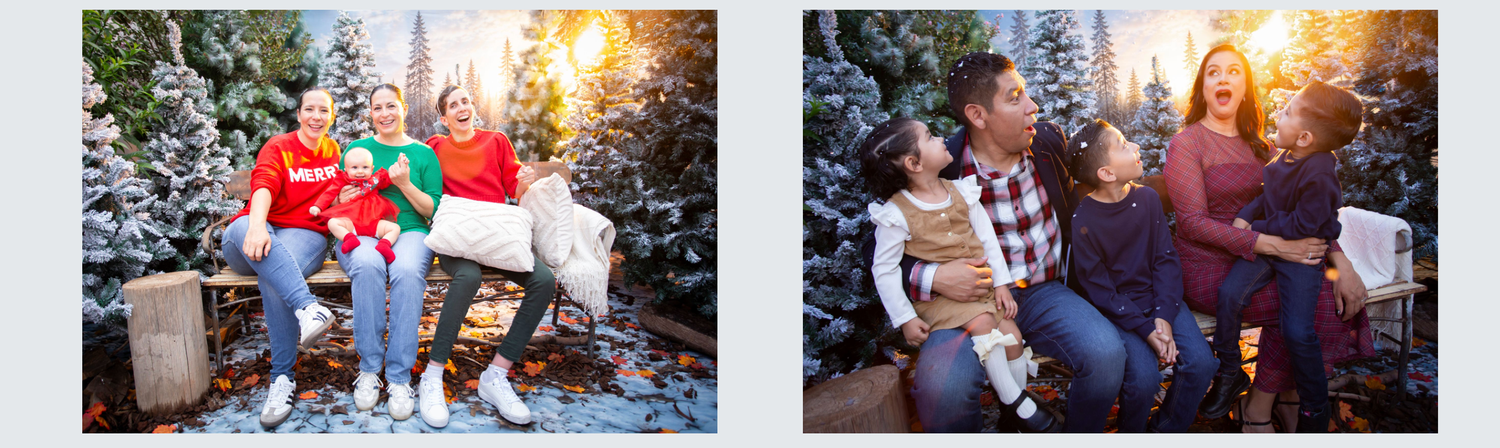Two festive family Christmas portrait photos featuring families posing among snowy trees with warm holiday lighting.