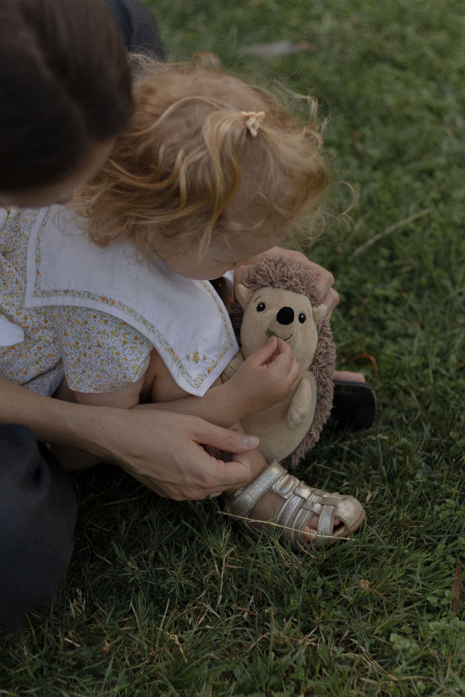 Young toddler girl with curly hair holding a hedgehog stuffed animal toy while sitting on green grass outdoors.