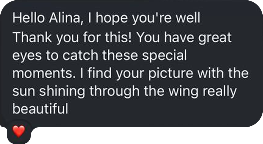 Review of a photographer in Geneva