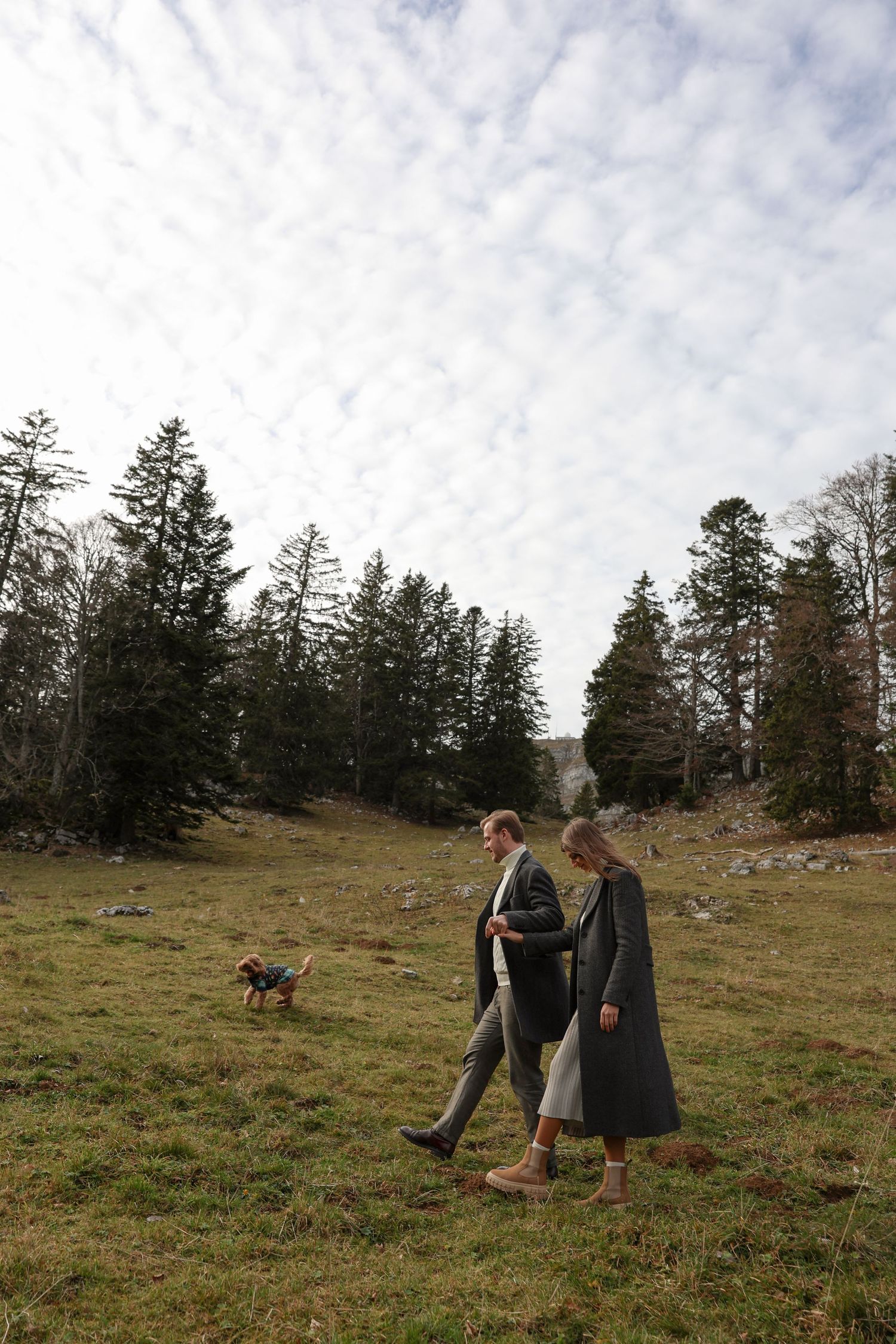 Couple walking with small dog across green meadow surrounded by pine trees under cloudy sky.
