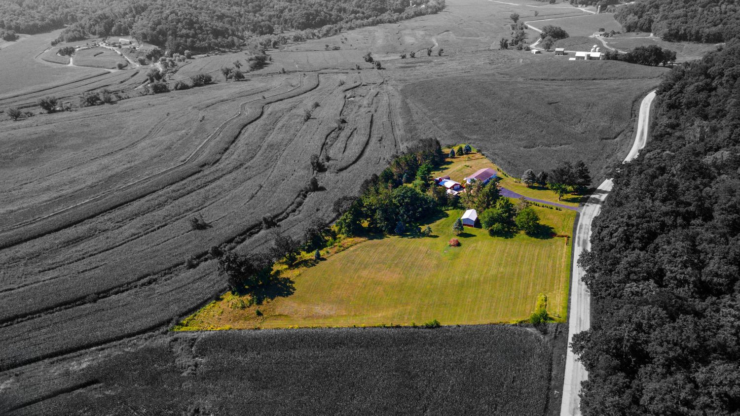 Aerial view of 4-acre property with selective colorization, highlighting lush landscape and surrounding area in black an
