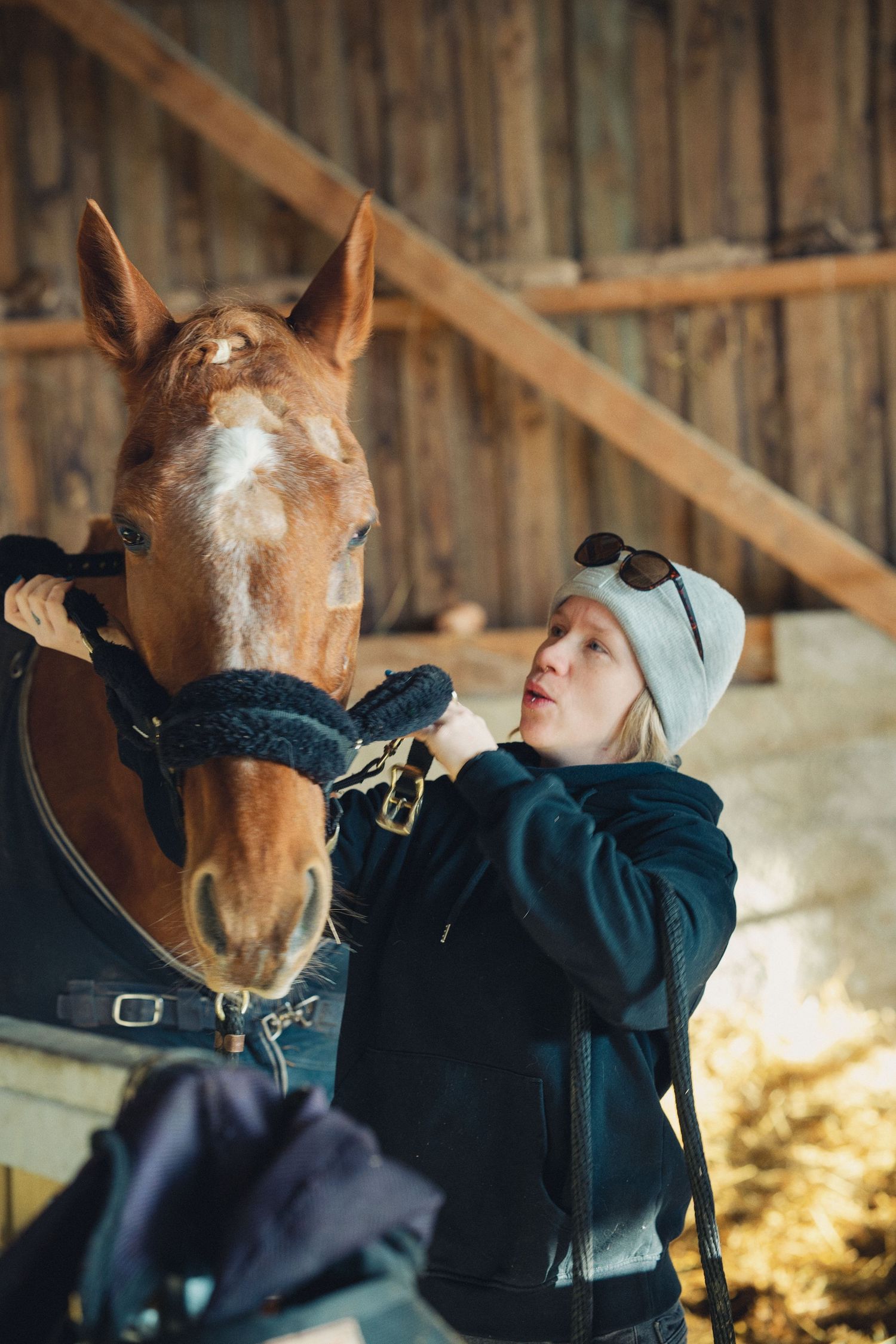 Photographie de portrait avec cheval dans un environnement naturel
