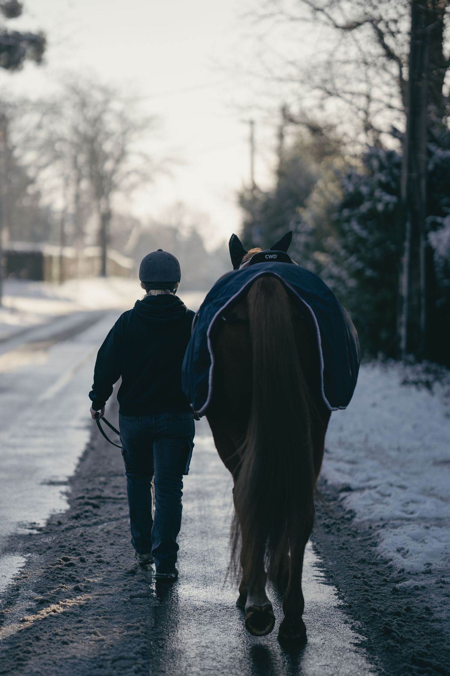 Photographie naturelle d’une personne accompagnée de son cheval