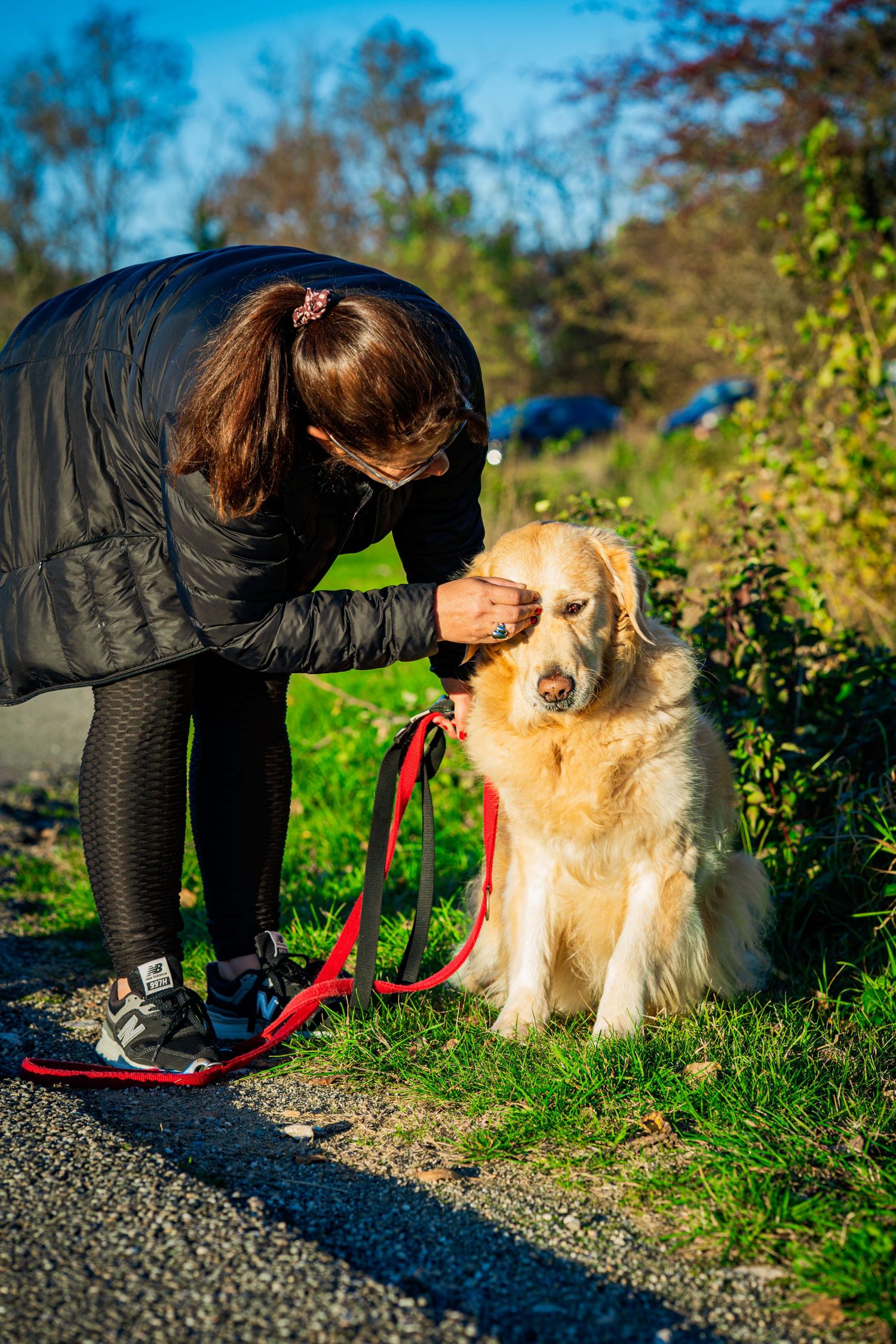femme avec son chien dans le 78