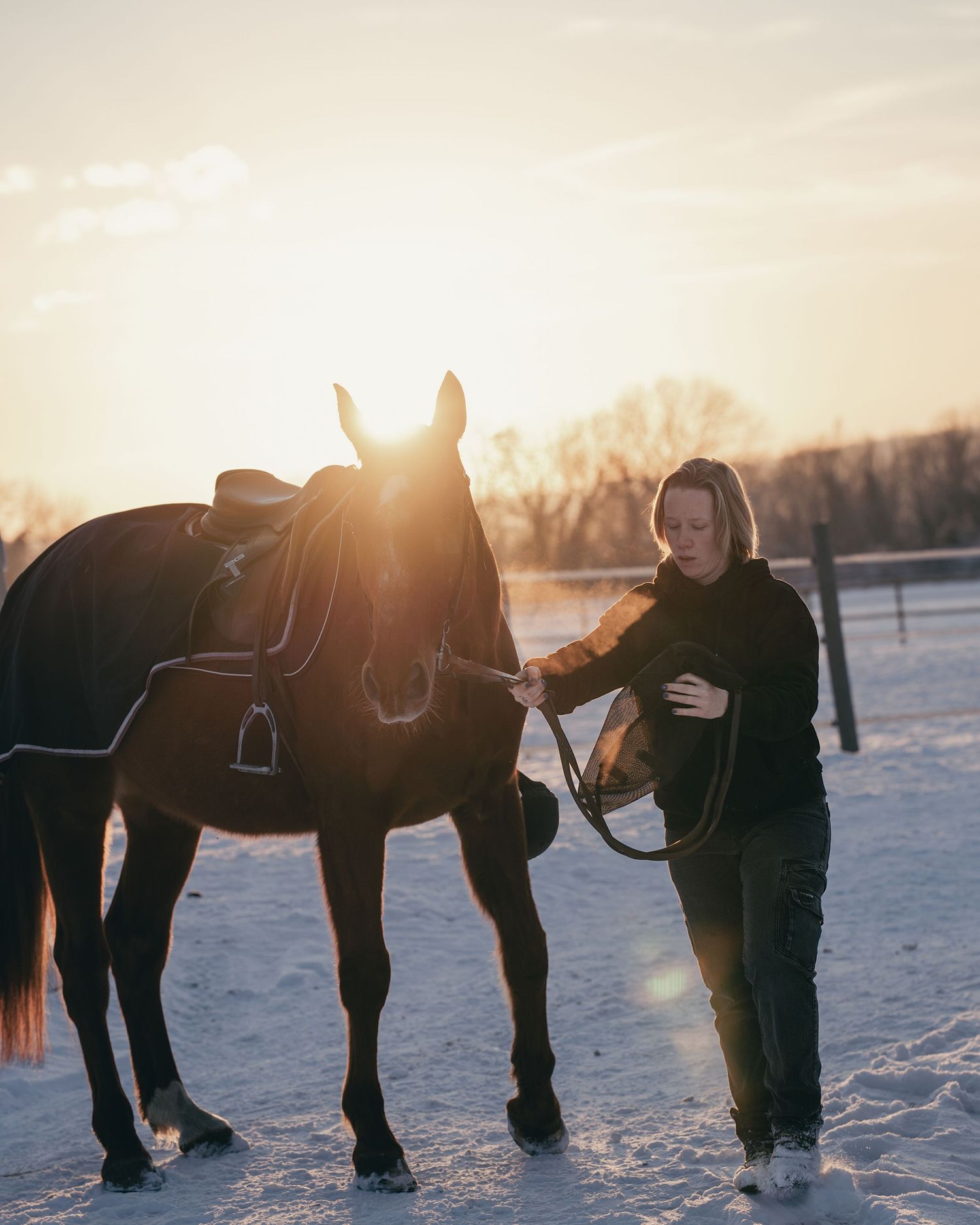 Portrait naturel avec cheval capturé en extérieur