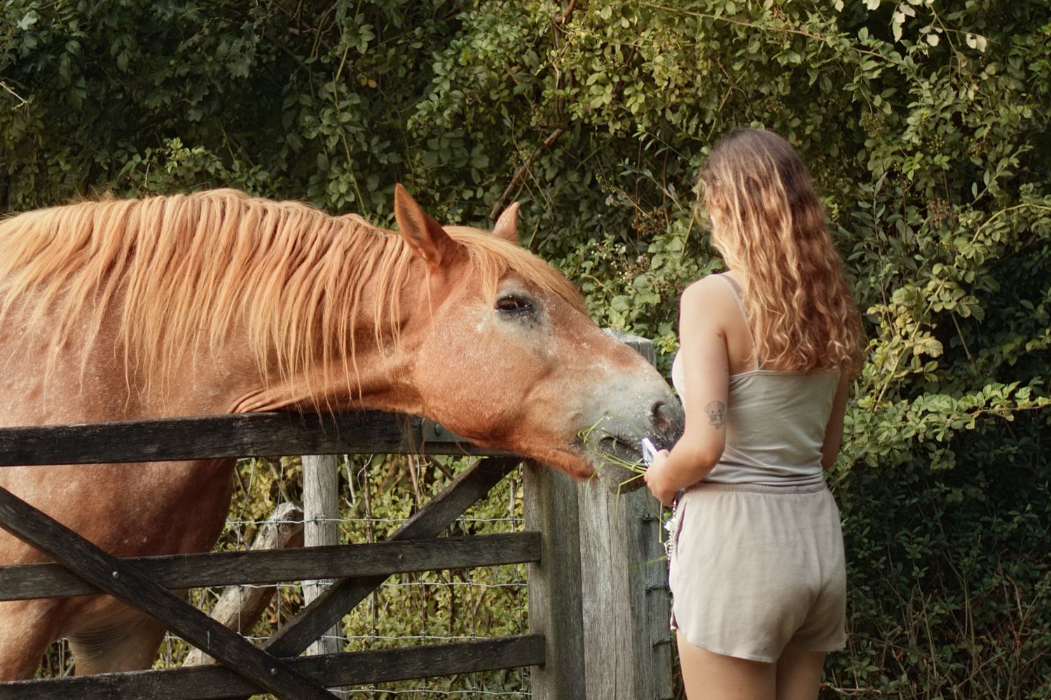 Portrait d’une personne avec un cheval lors d’un shooting photo en extérieur