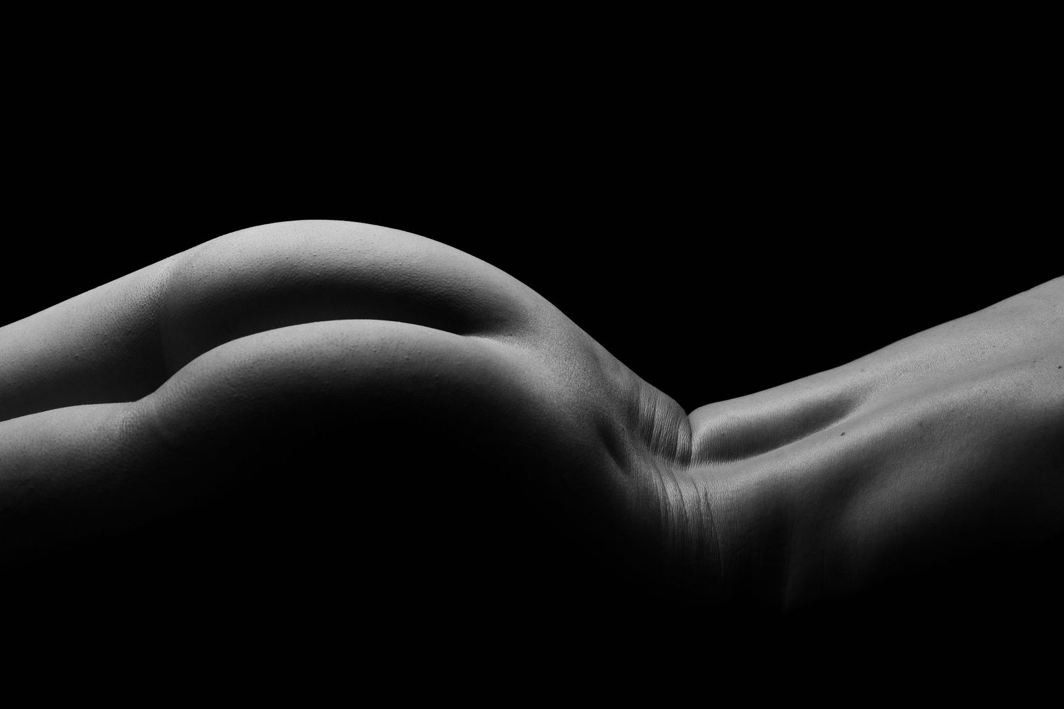 Close-up abstract nude photography focusing on organic body shapes and shadows.