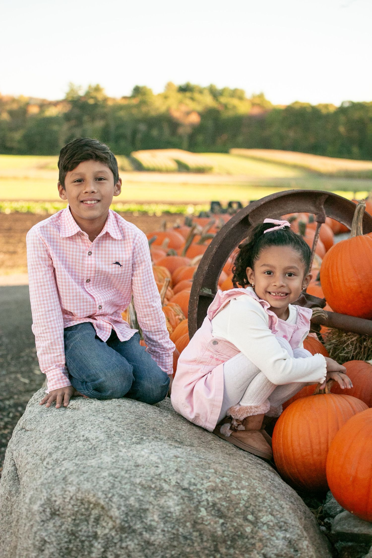Children sitting on a large rock at a pumpkin patch during autumn with orange pumpkins scattered around them.