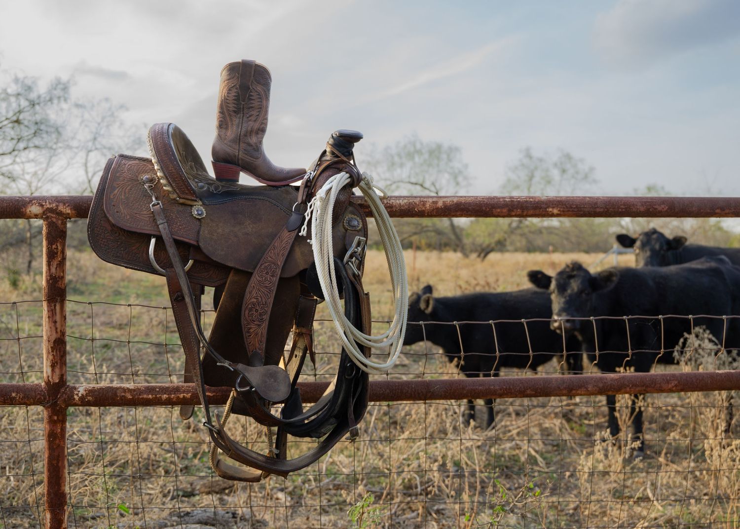 A close-up view of a brown leather horse saddle resting on a wooden fence in a rural setting.