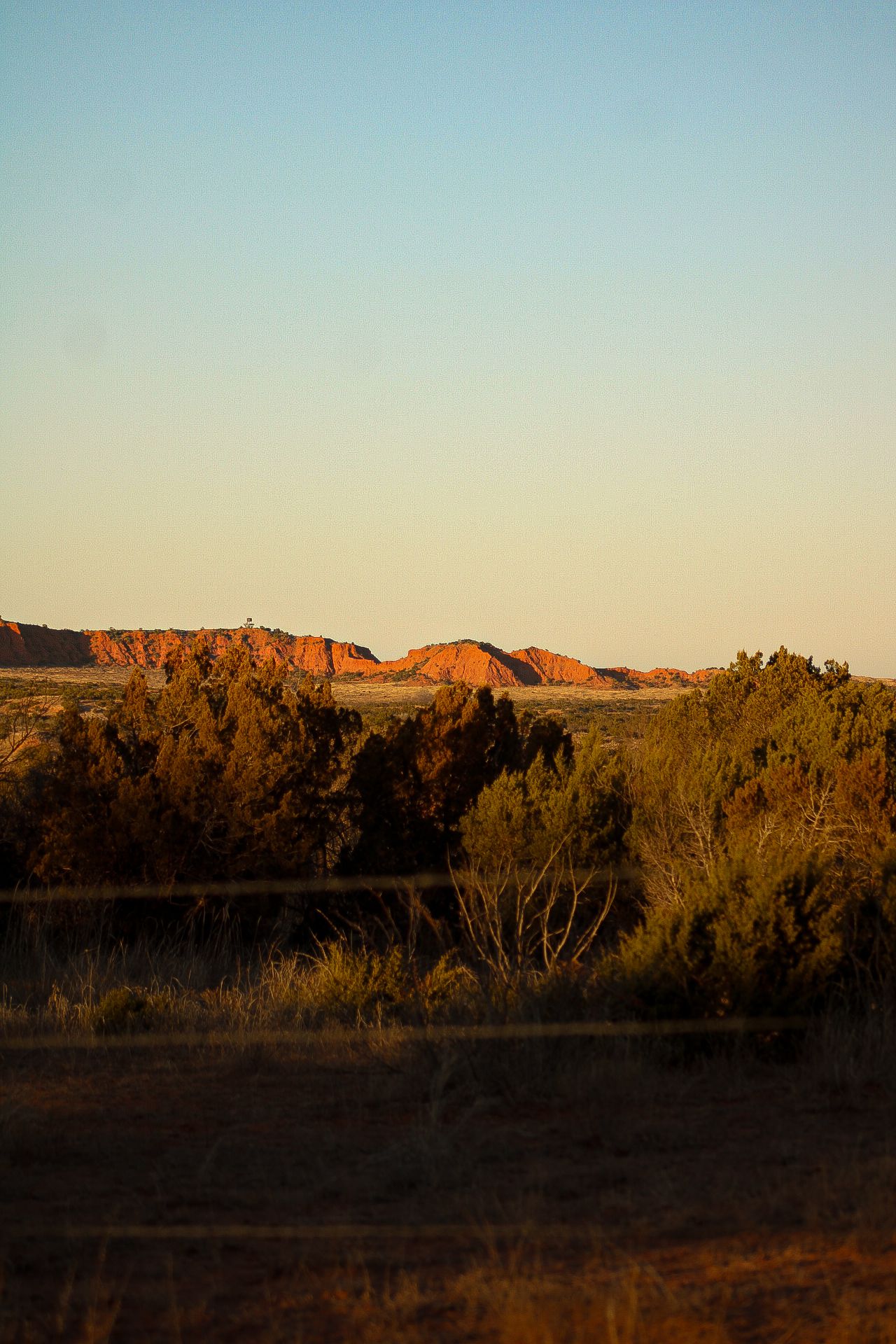 Desert landscape at sunset with red rock formations and scrubland in the background.