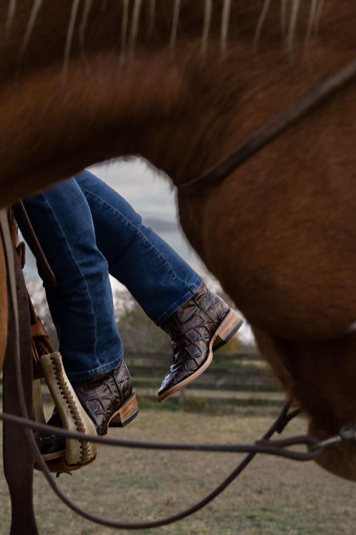 Close-up view of cowboy boots in stirrups with blue jeans against a brown horse's side in an outdoor setting.