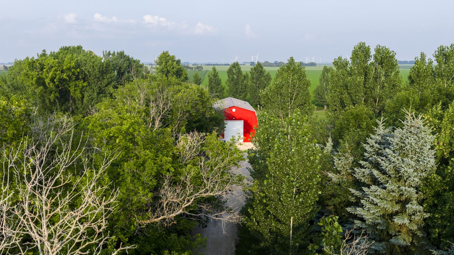 A panoramic view of a lush green forest with tall trees stretches across the landscape under a cloudy sky.